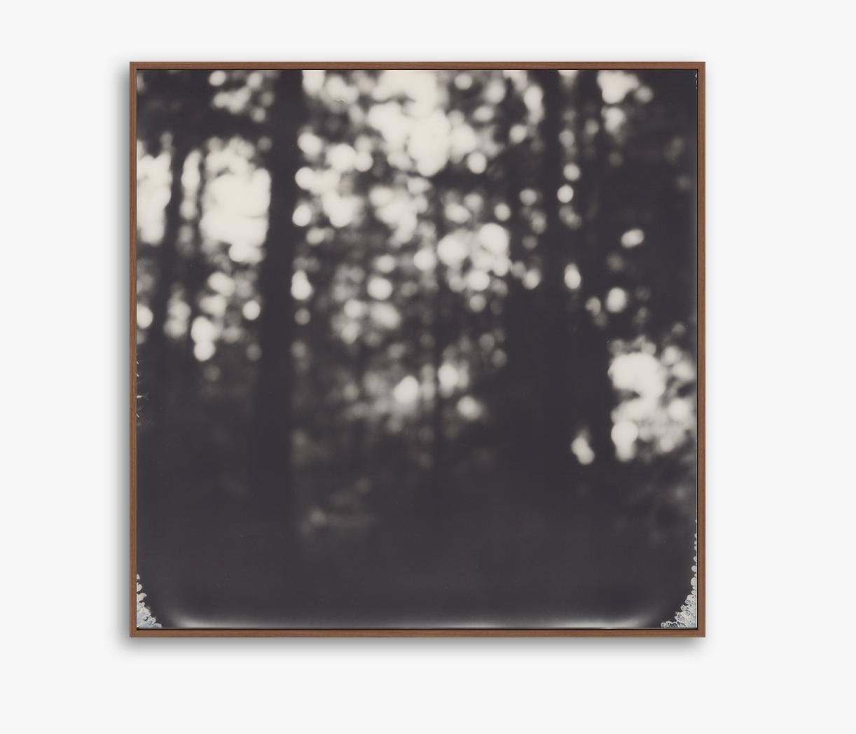 Into the Woods - 21st Century Contemporary Photographic Nature Print - Black & White Polaroid

Into the Woods is a beautiful  example of Pia Clodi's ability to inject beauty and sentiment  into the everyday. This high contract black and white