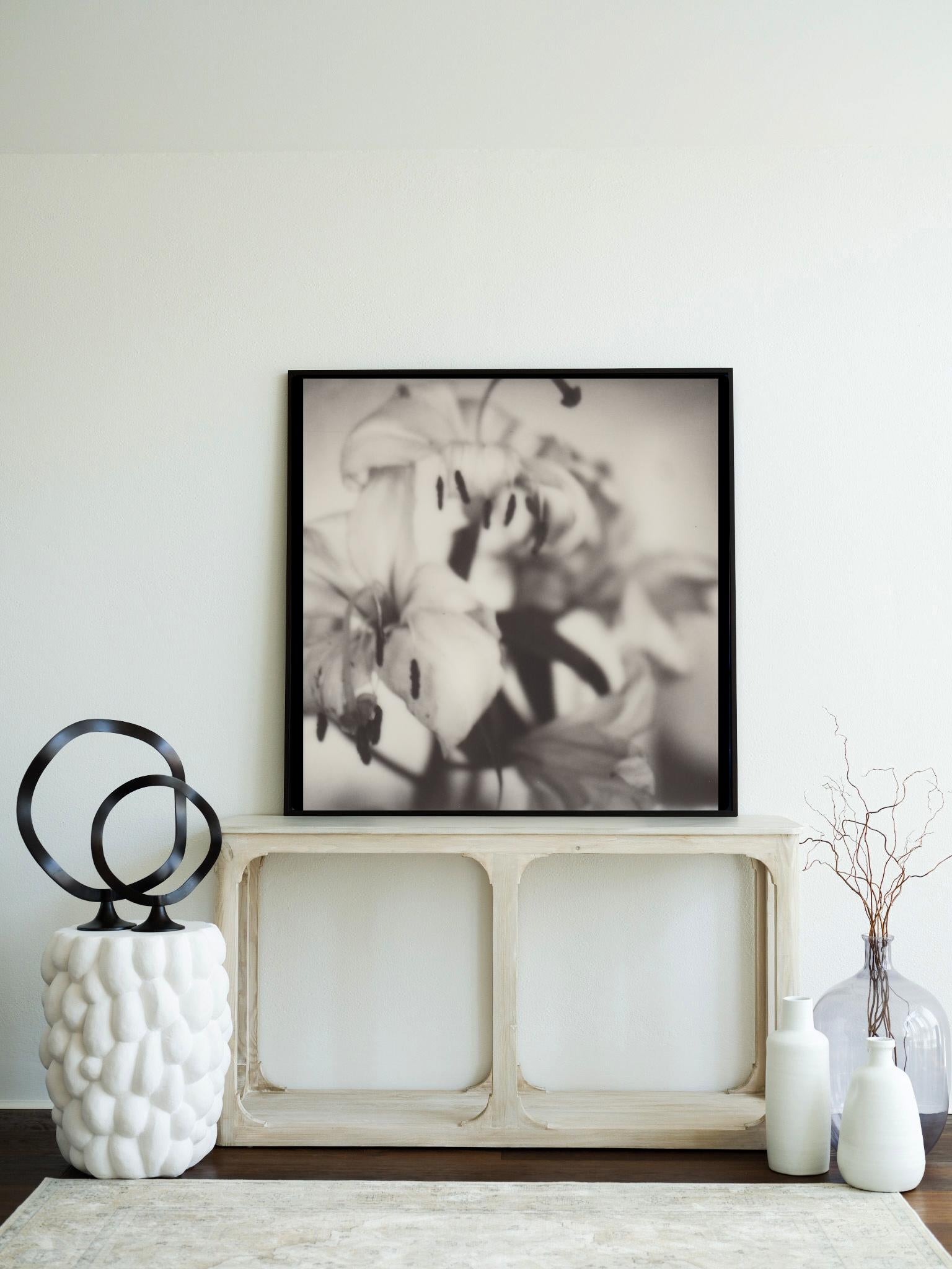 Lilies - 21st Century Photographic Floral Print from Black and White Polaroid - Gray Figurative Print by Pia Clodi