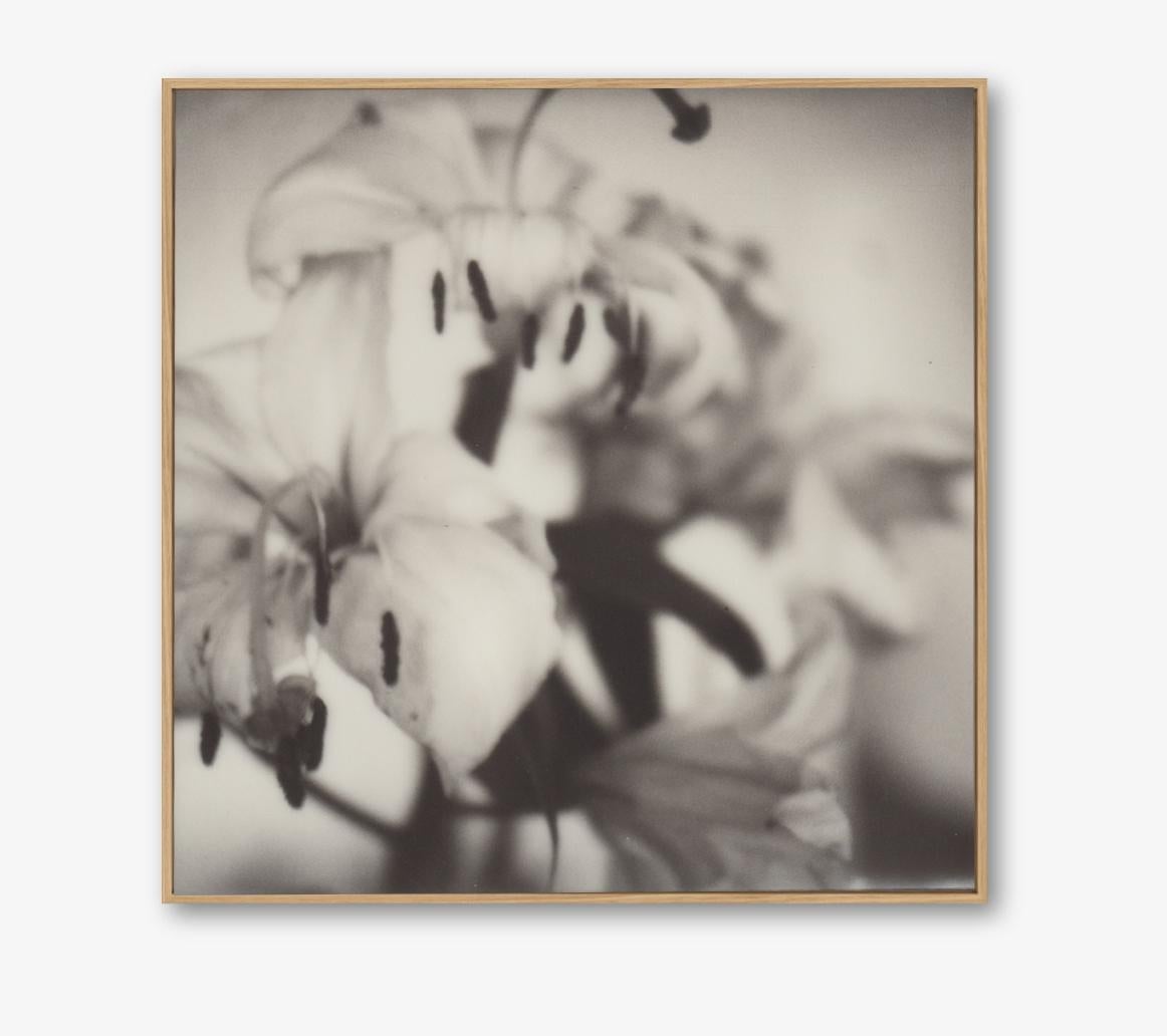 Lilies - 21st Century Photographic Floral Print, PolaroidOriginal, Shadow Gapped Frame - Photographic Print on Aluminium Dibond - Edition 10 + 1, with Certificate

Lilies is a beautiful  example of Pia Clodi's ability to inject beauty and sentiment 