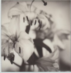 Lilies - Impression florale photographique du 21e siècle réalisée à partir d'un polaroïd noir et blanc