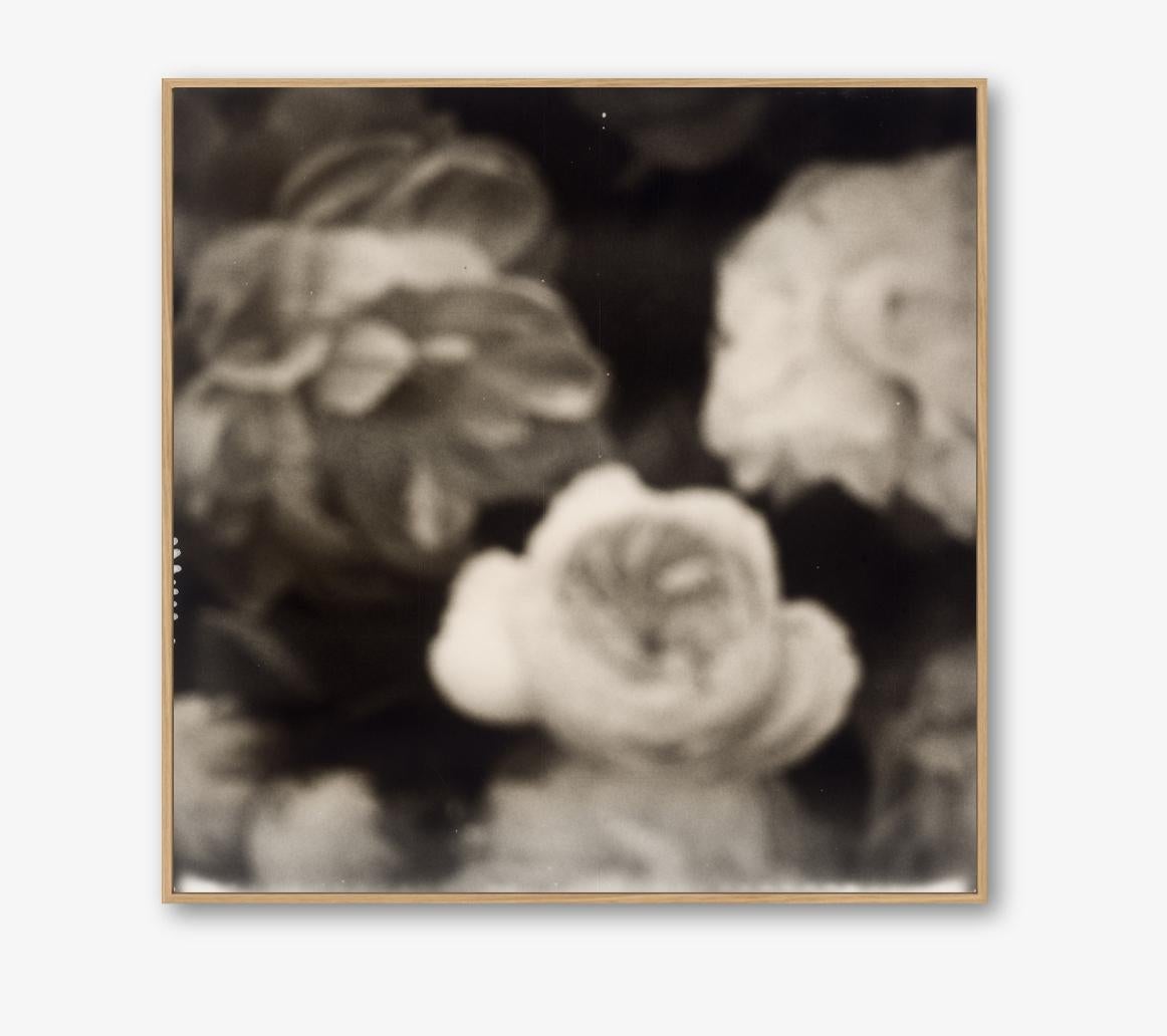Starlet Rose - Impression photographique contemporaine du 21e siècle - Polaroid B/W - Noir Figurative Print par Pia Clodi