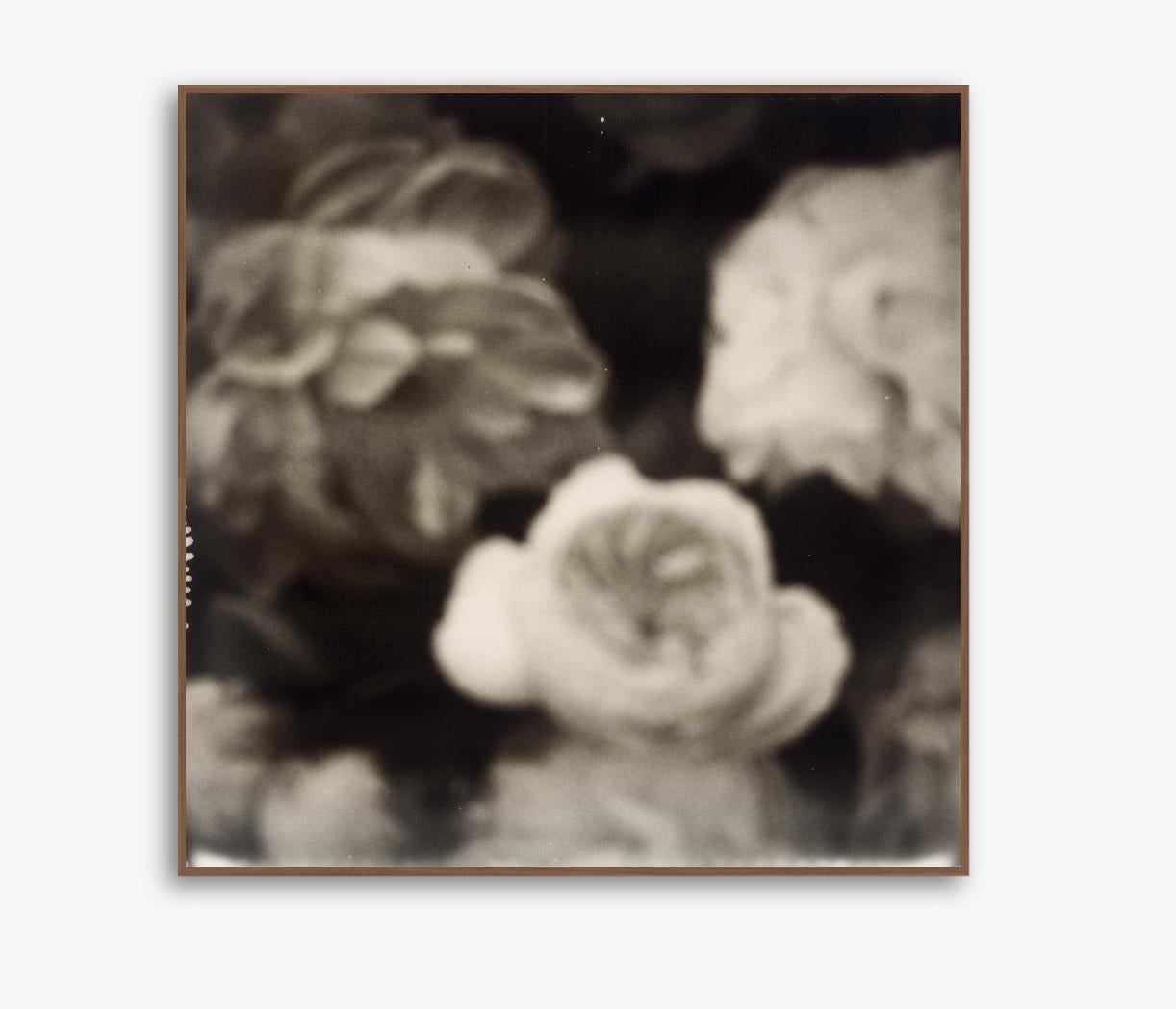Starlet Rose - 21st Century Contemporary Photographic Print - B/W Polaroid For Sale 1