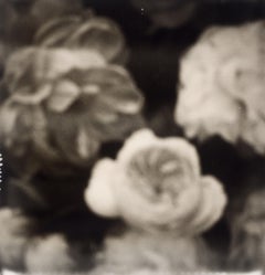 Starlet Rose - Impression photographique contemporaine du 21e siècle - Polaroid B/W