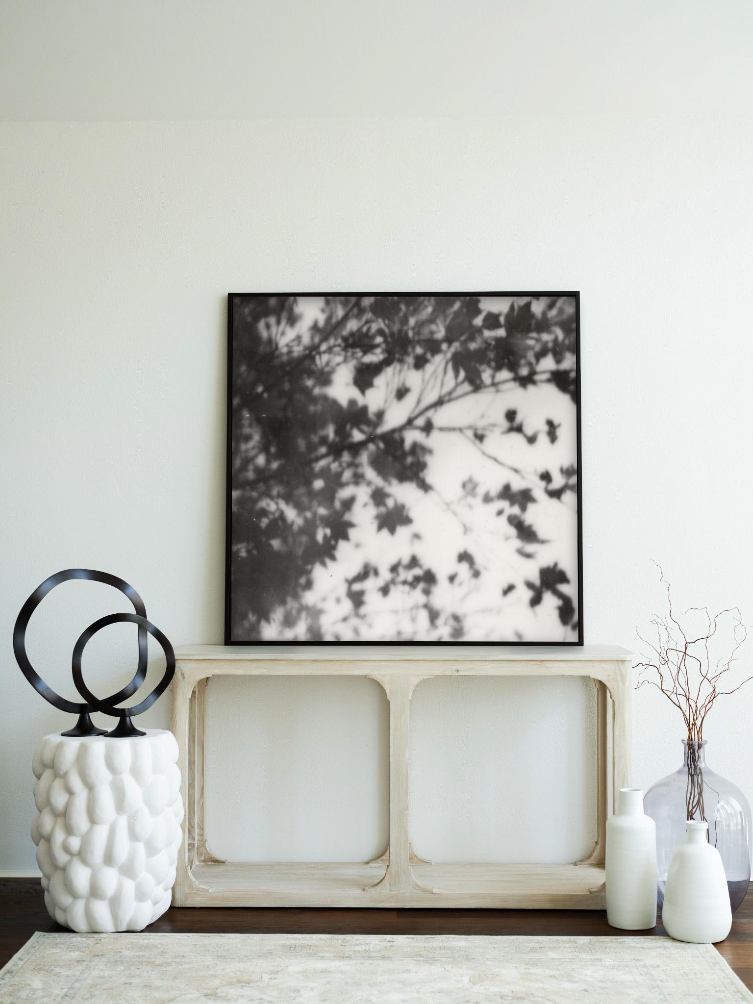 Three Dreams - Still Life Black and White Film Photographic Print Framed - Gray Abstract Photograph by Pia Clodi