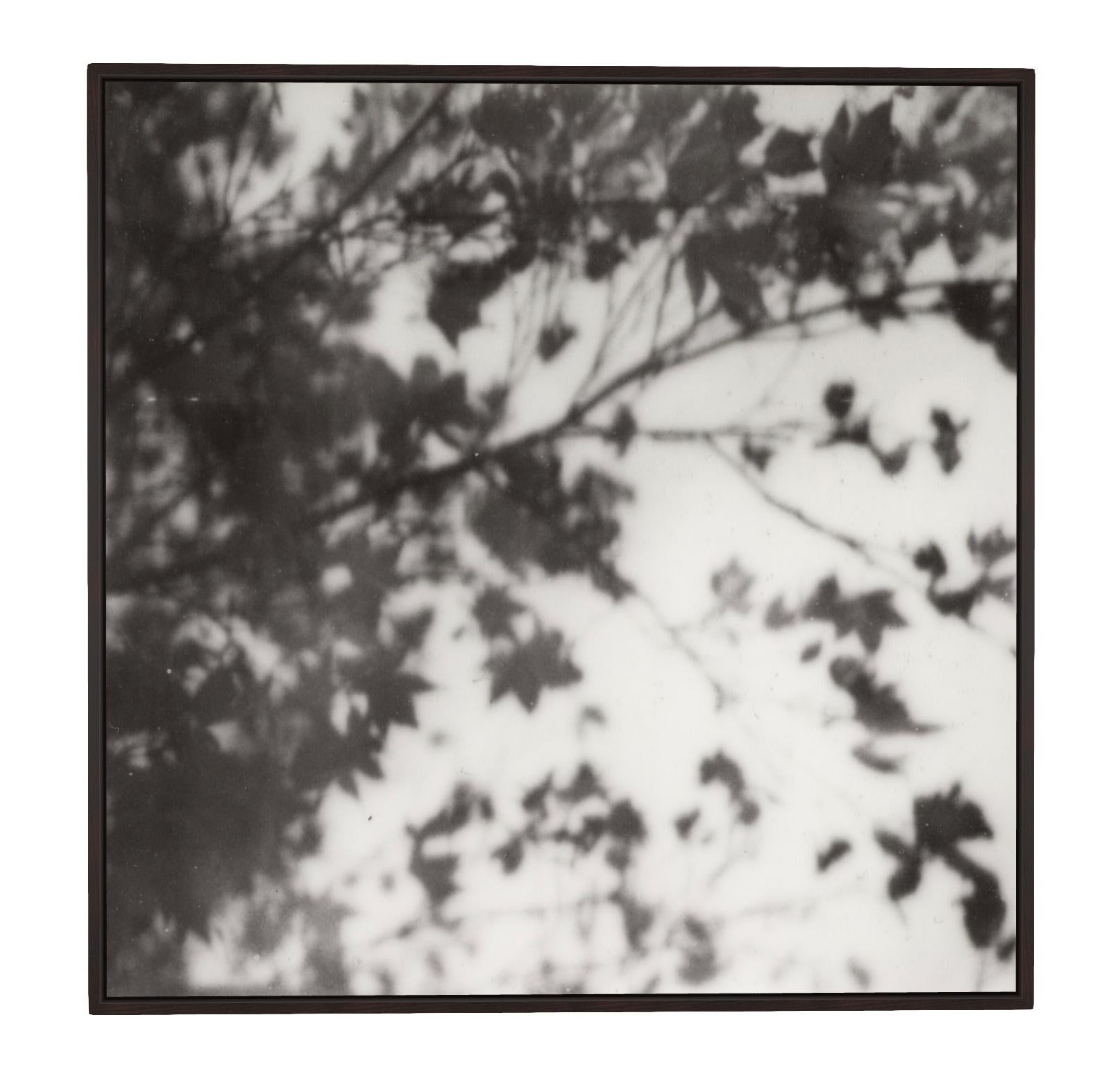 Trois rêves - Nature morte en noir et blanc Tirage photographique sur film encadré - Contemporain Photograph par Pia Clodi