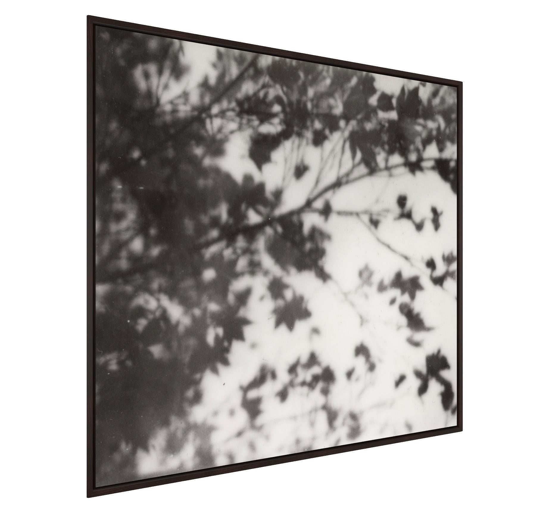 Trois rêves - Nature morte en noir et blanc Tirage photographique sur film encadré - Gris Abstract Photograph par Pia Clodi