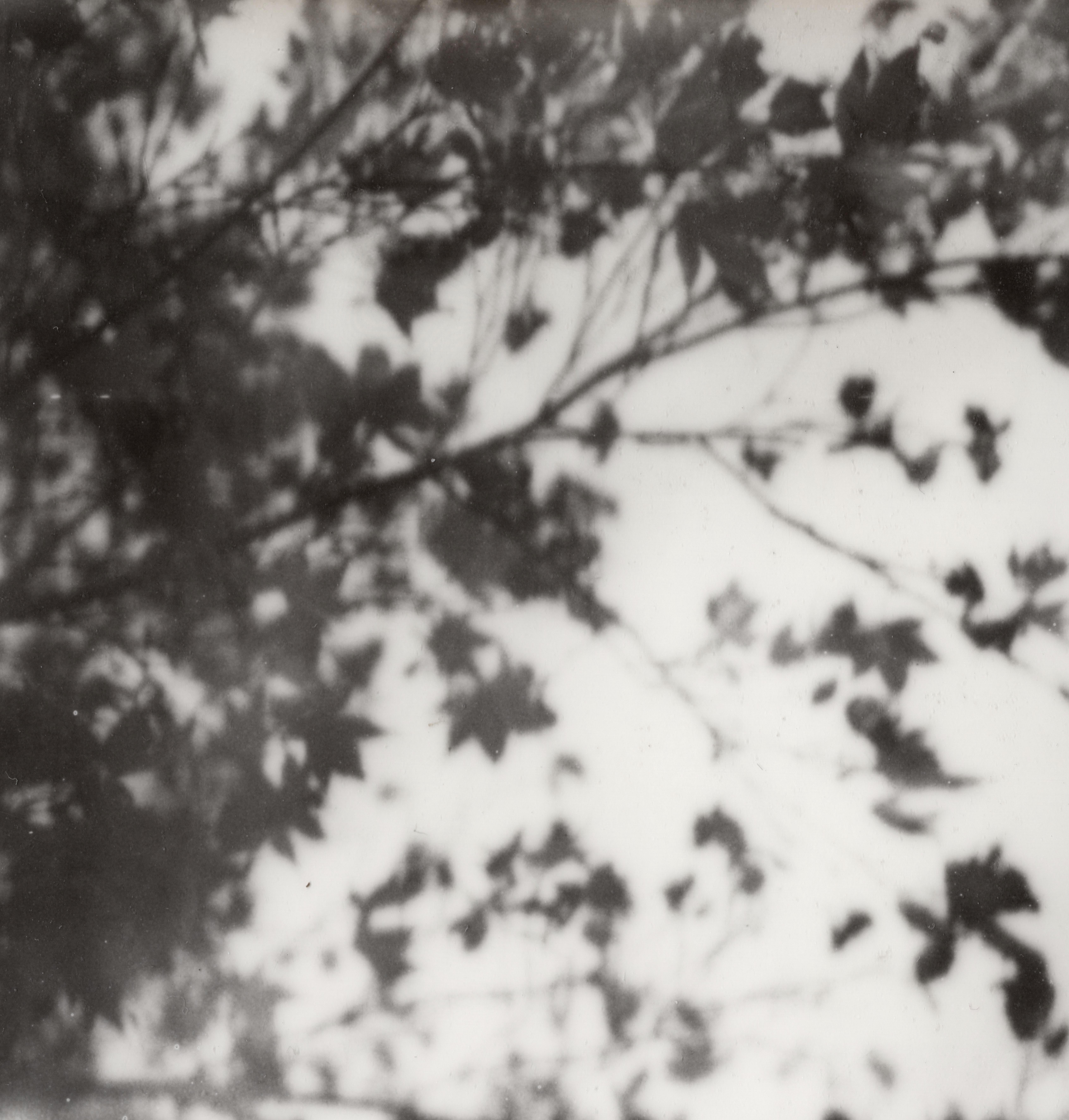 Abstract Photograph Pia Clodi - Trois rêves - Nature morte en noir et blanc Tirage photographique sur film encadré