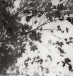 Trois rêves - Nature morte film noir et blanc Grande estampe photographique encadrée