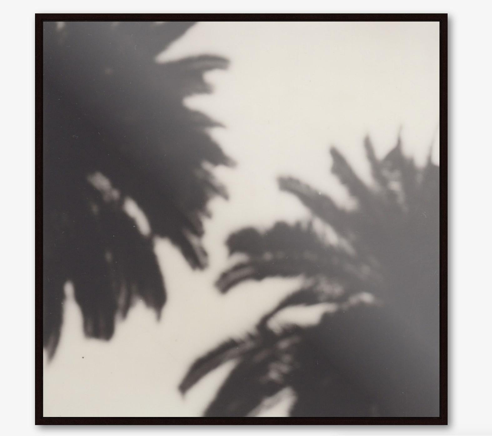 Calm as a Palm - 21st Century Contemporary Black and White Photographic Print, Polaroid Original, Shadow Gapped Frame - Photographic Print on Aluminium Dibond - Edition of 10 + 1, with Certificate

Calm as a Palm is a beautiful example of Pia