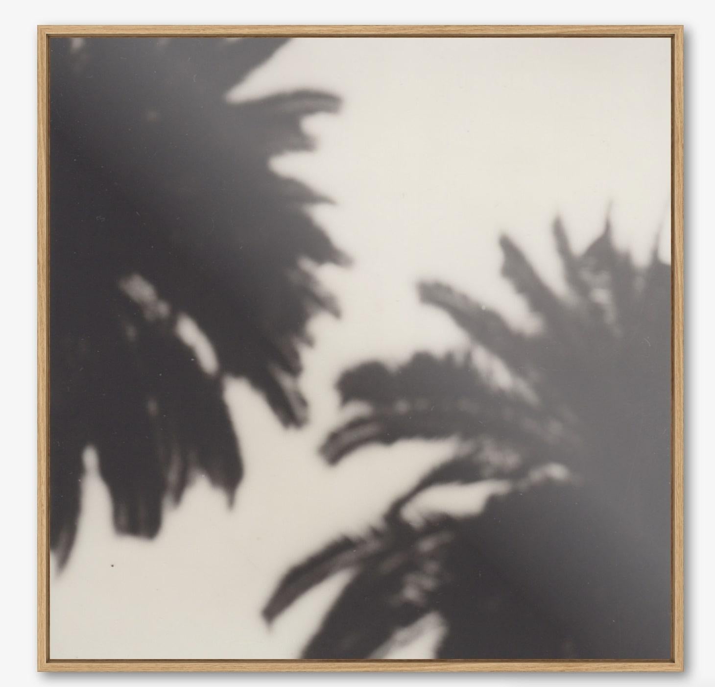 Calme comme un palmier - Gravure photographique contemporaine en noir et blanc du 21e siècle en vente 1