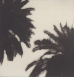 Calm as a Palm - 21st Century Contemporary Black and White Photographic Print