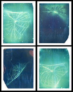bioluminescent-powder coated spider webs, photogram study #1