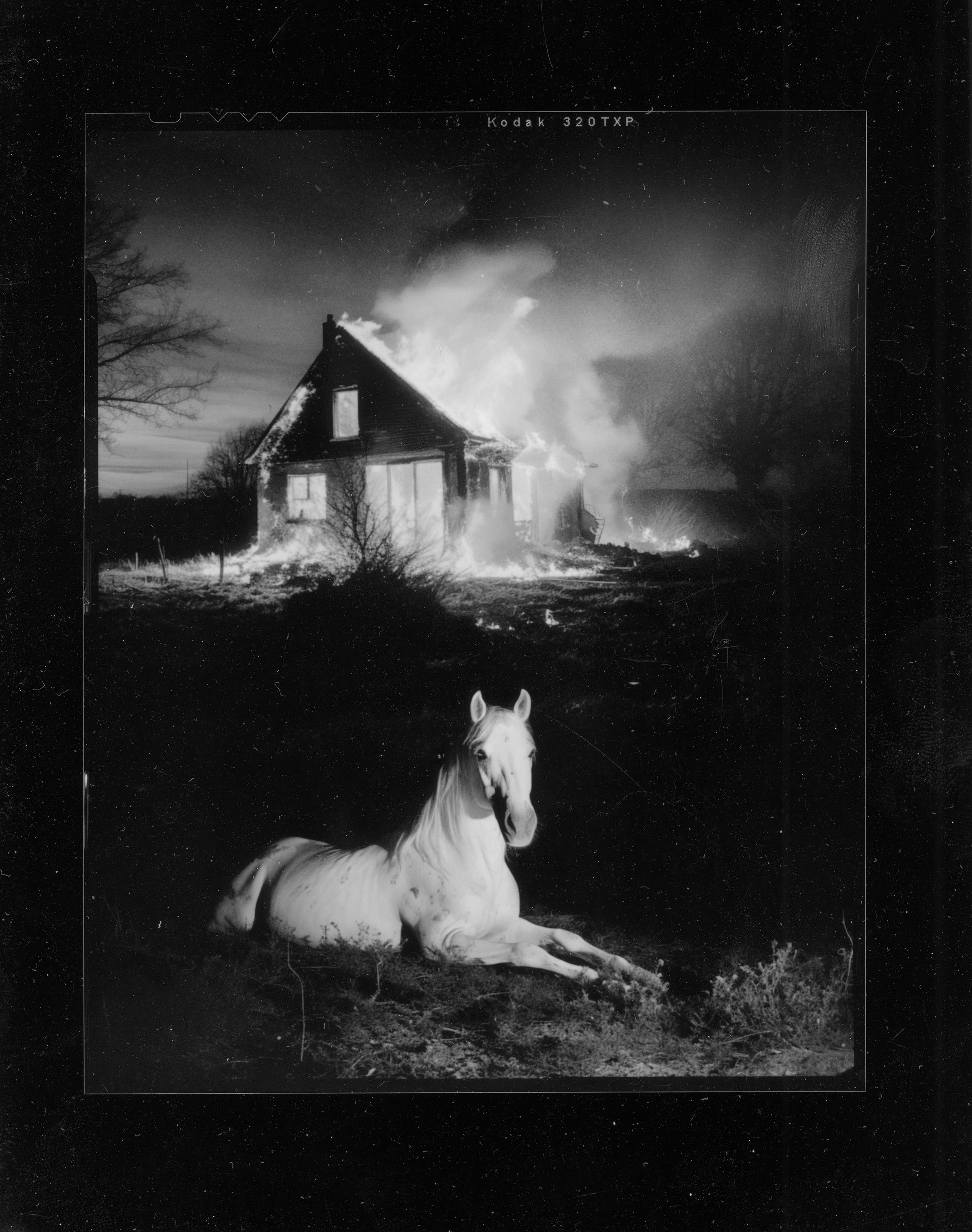 Pia Paulina Guilmoth Black and White Photograph - i'd look like a flower if i could