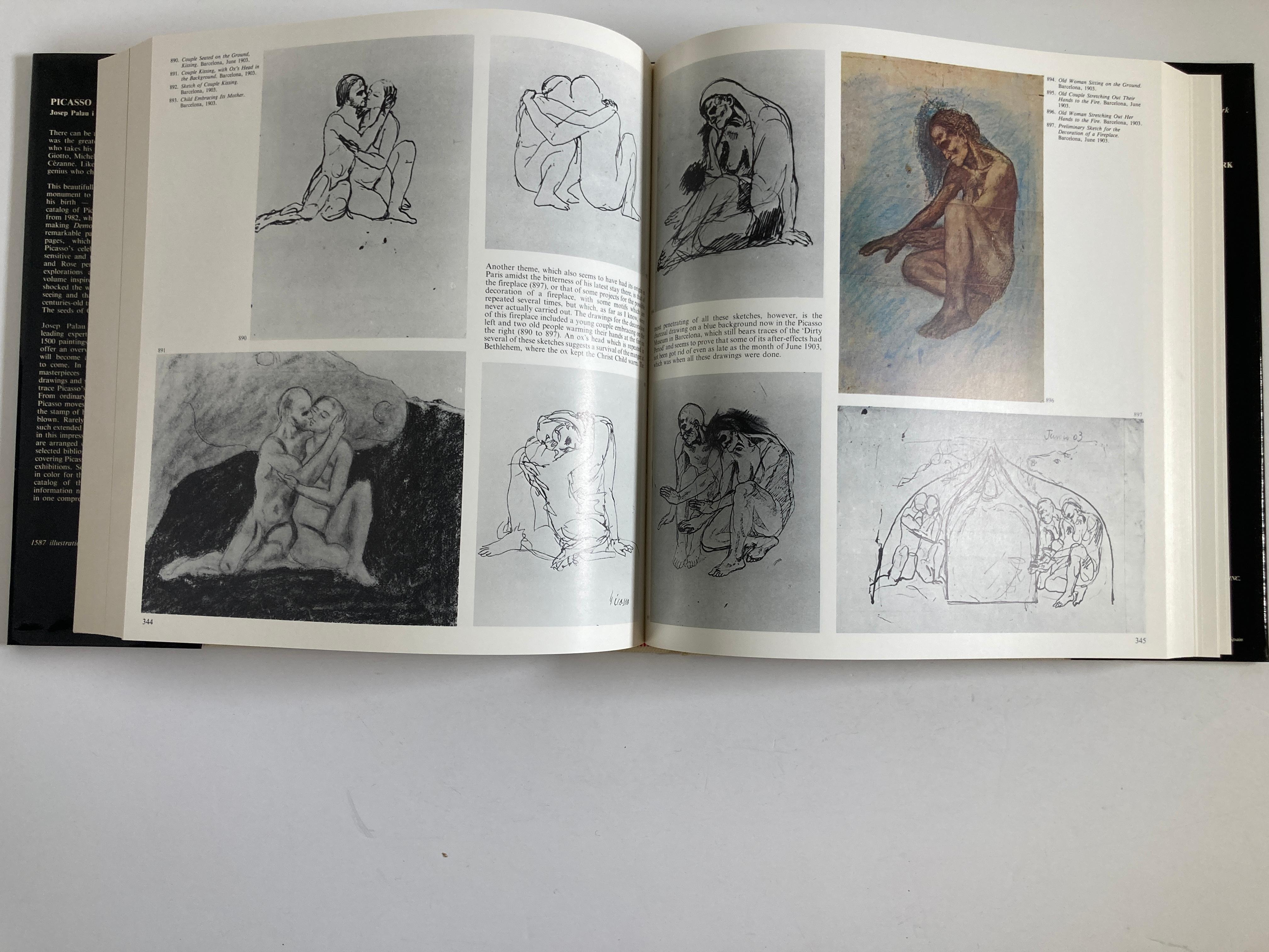 Livre d'art « Picasso The Early Years 1881-1907 » de Palau i Fabre en vente 7