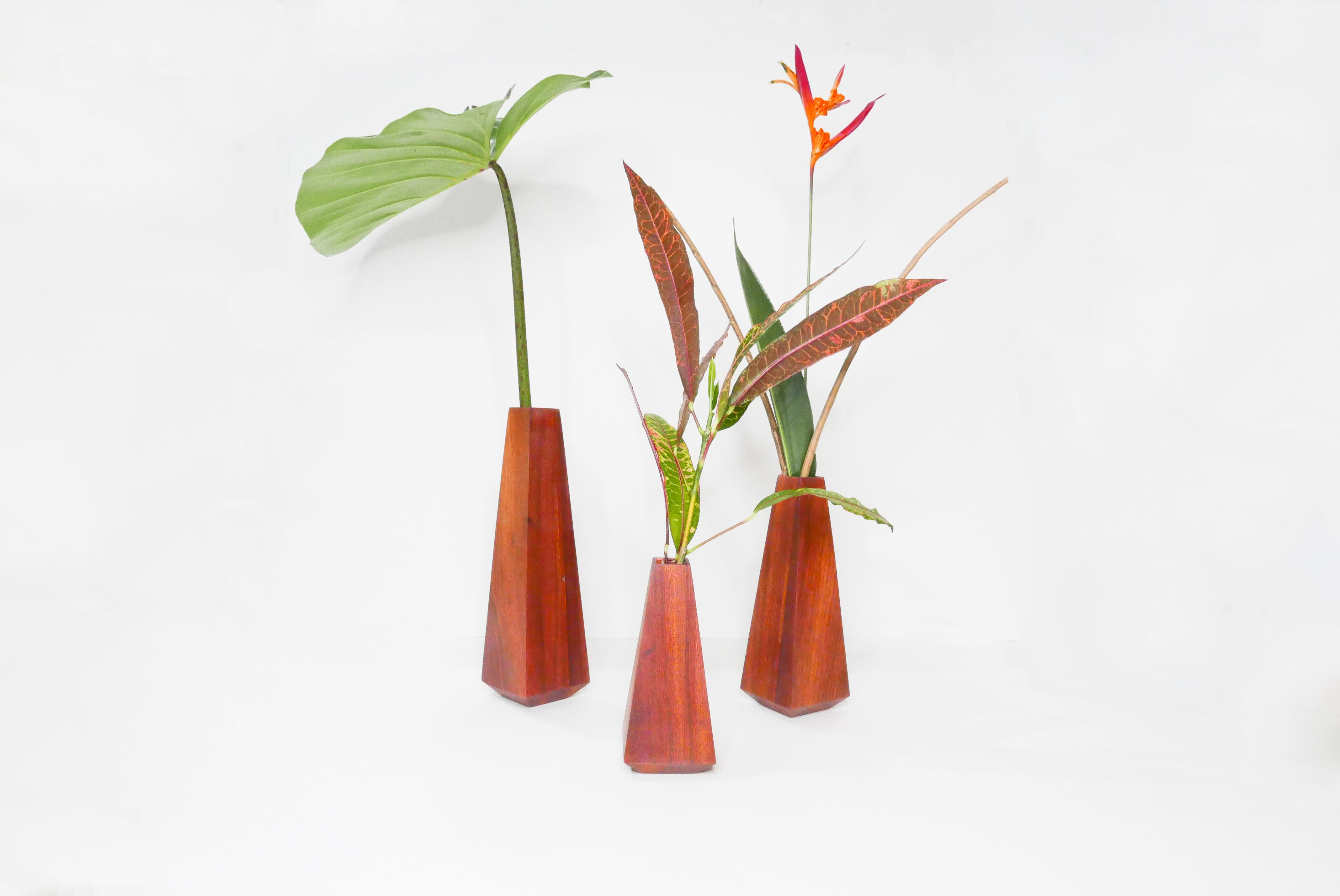 Picos form a set of volumetric and minimalist vases resulting in a playful composition. Made from hardwood, they appear angular, slender and solid yet light. Handmade using Brazilian hardwood Muirapiranga.
 
Each vase includes a glass tube allowing