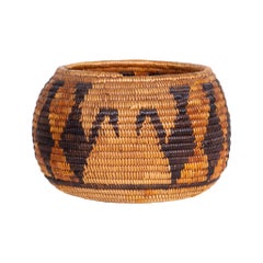 Cesta Misión Pictórica