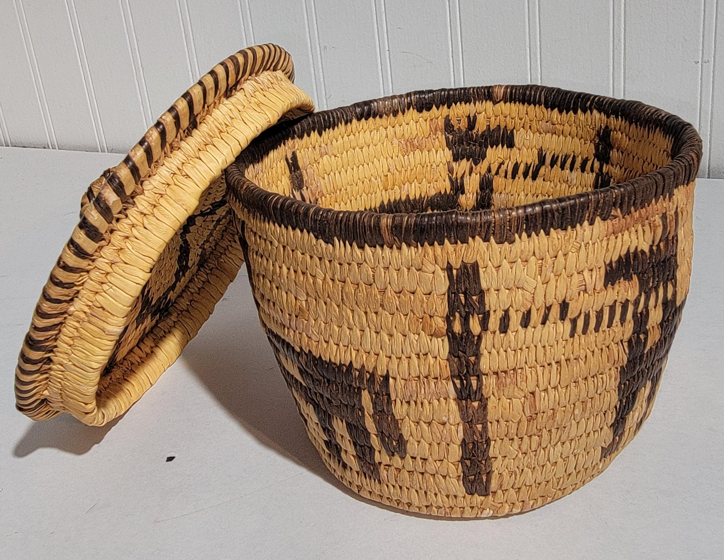 Rare panier indien Papaco à couvercle en bon état. Ce panier ancien est orné de chiens et de motifs géométriques sur l'ensemble de son contenu.