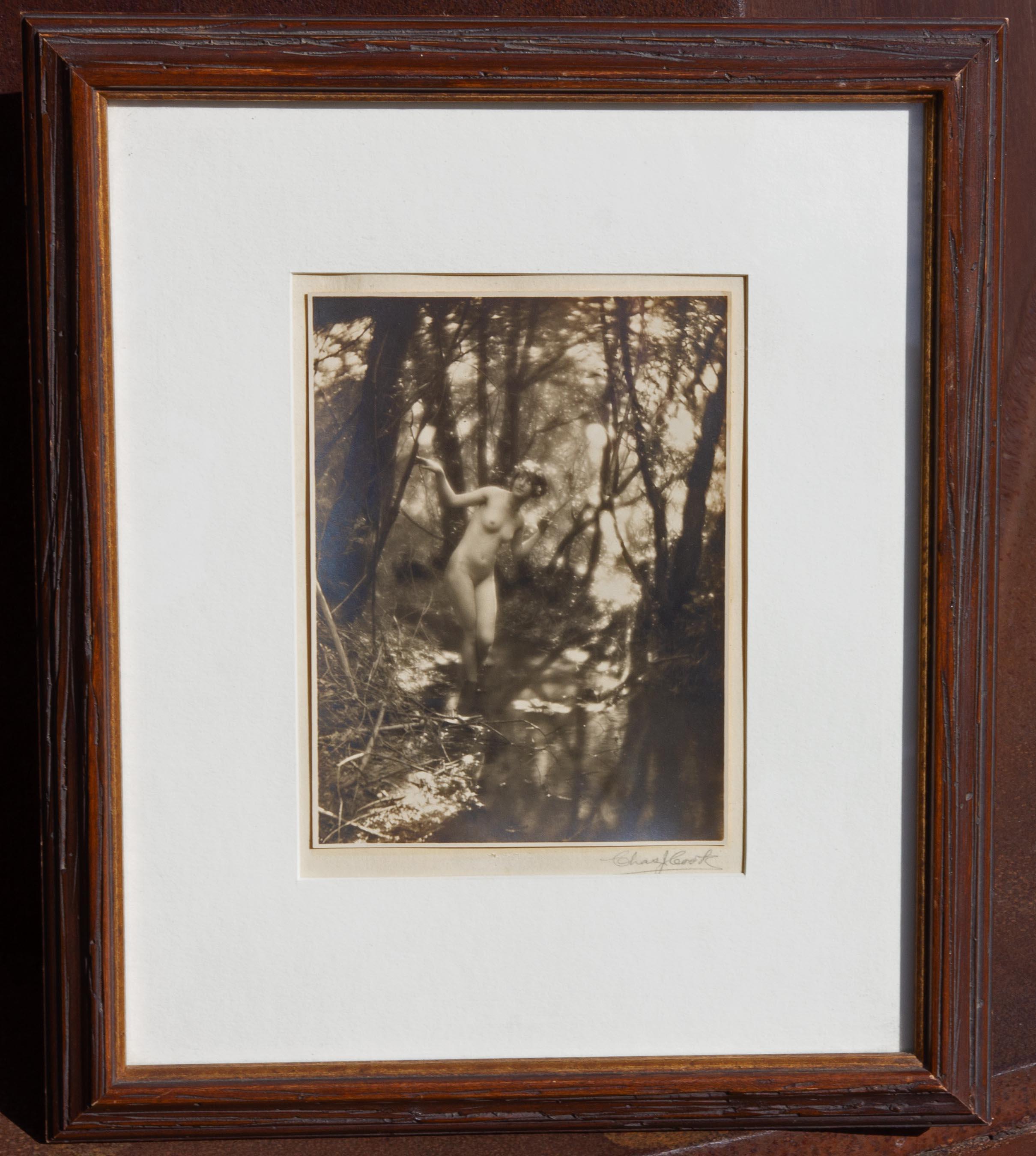 Pictorialistisches Foto einer nackten Frau in einem Waldinterieur von Charles Cook. Silberner Druck. Um 1910.

Charles J. Cook war ein Maler und Fotograf, der sich auf Aktfotografie spezialisiert hatte. Mindestens zwischen 1908 und 1912 wohnte er