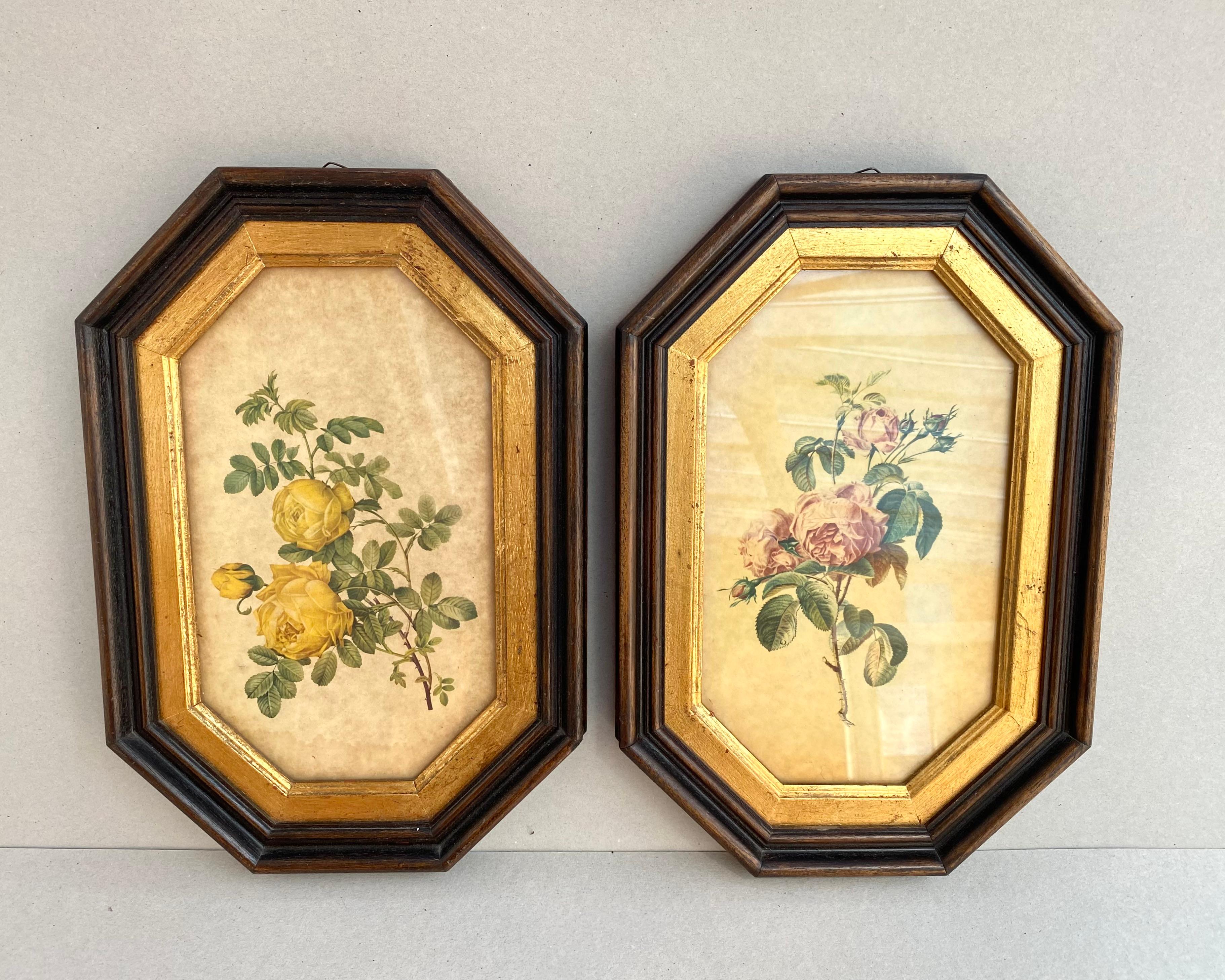Conjunto vintage de 2 cuadros botánicos en marcos de madera hechos a mano en Italia, hacia los años 60.

Estos marcos vintage están hechos de madera de alta calidad, con un caballete de terciopelo firme y ganchos.

Hechos a mano individualmente,