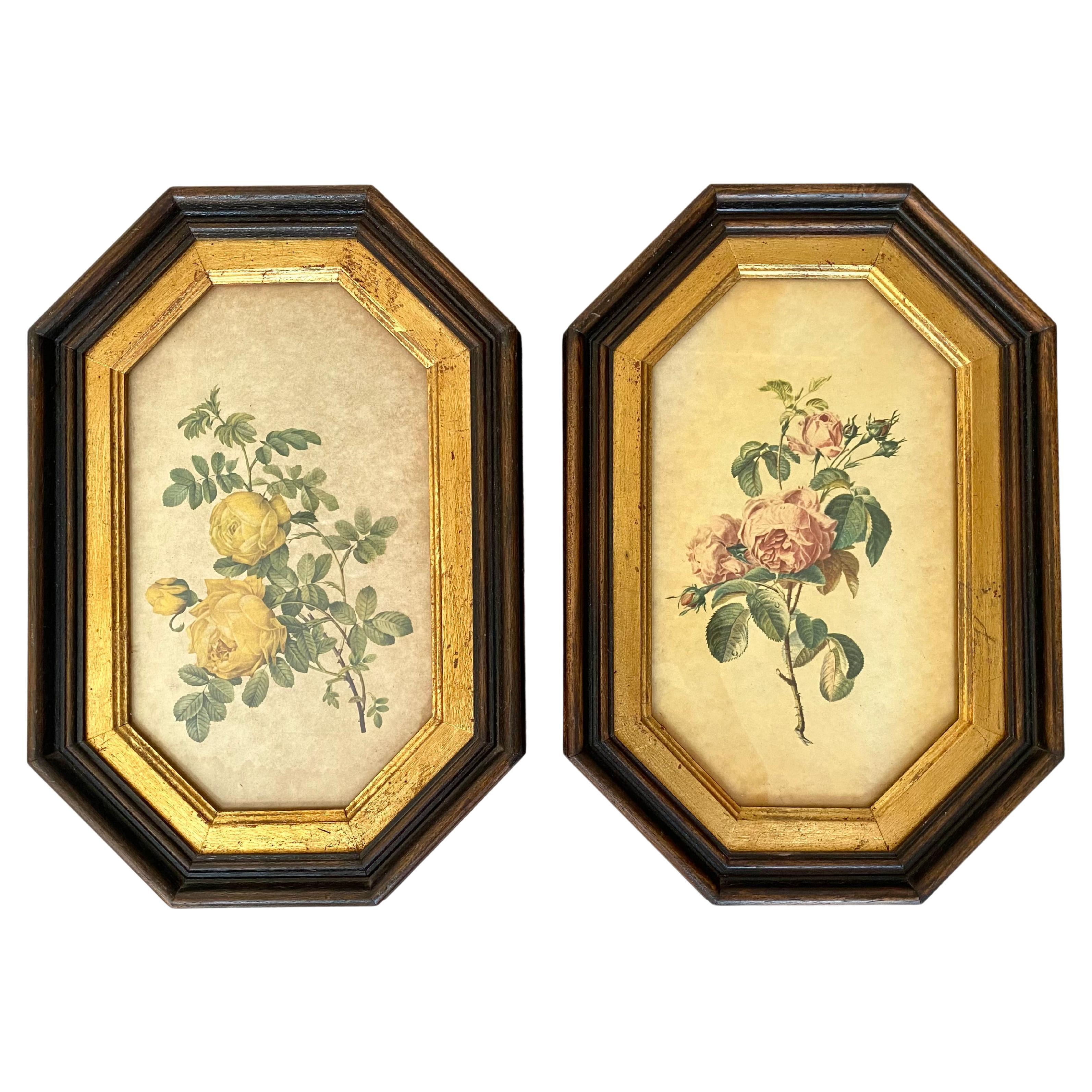 Cuadros Vintage en Marcos Bot�ánicos de Sobremesa y Pared, Set 2, Francia, Años 60
