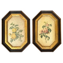 Pictures Vintage in Frames Botanical Tabletop & Wall Mount, Set 2, France, 1960s