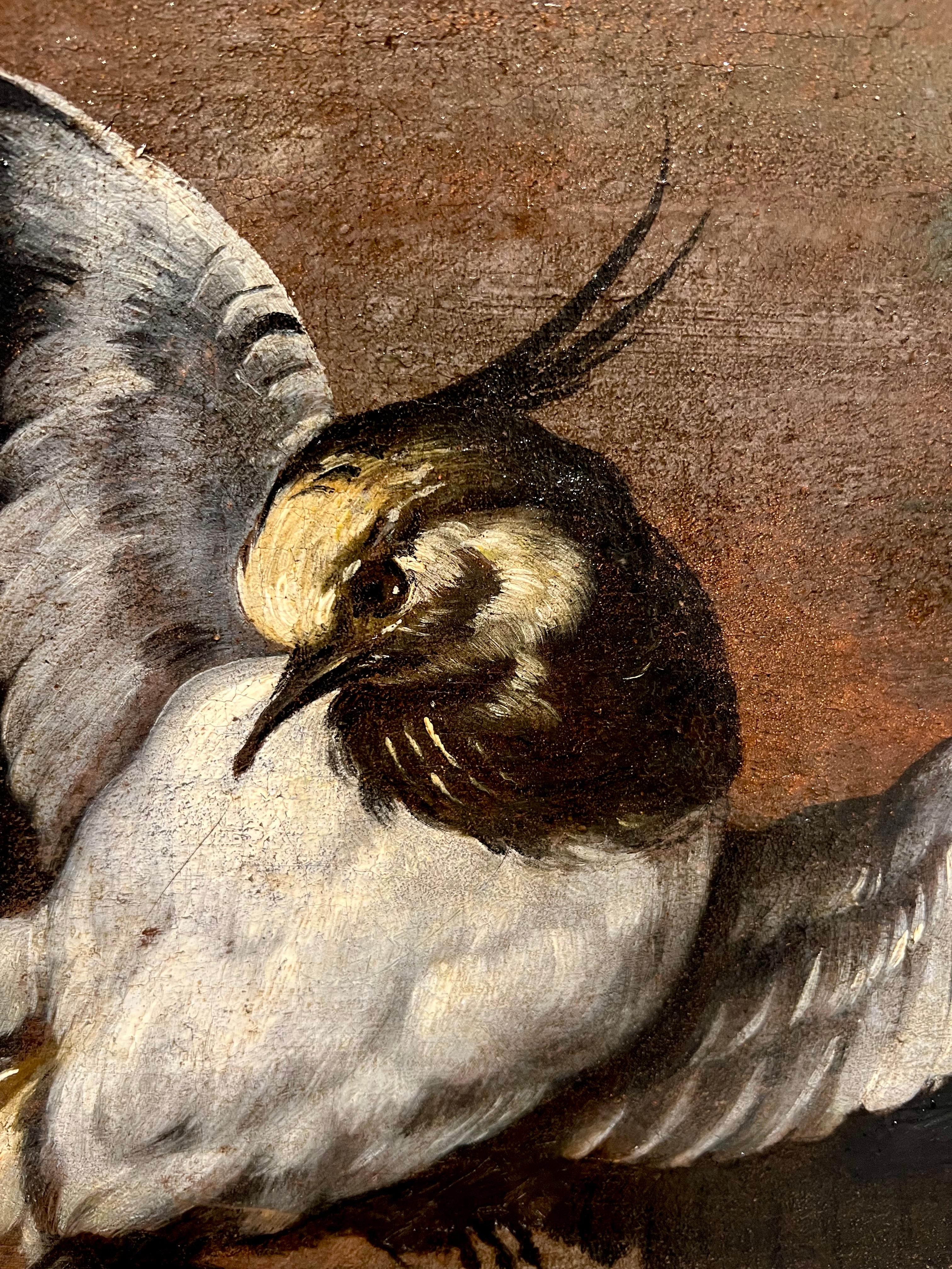 Birds of freedom in a fruit garland - Huge 17th century Oil - Royal Provenance 1