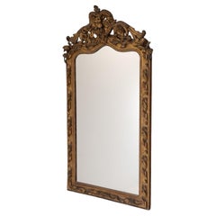 Mirror Mirrors