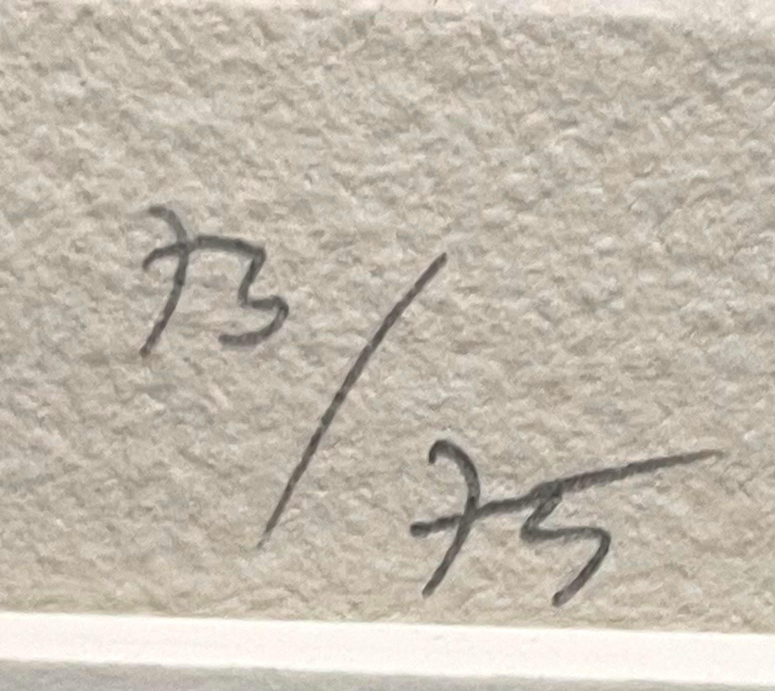 Piero Dorazio
Composizione astratta (Collezione aziendale della Bank of New York), 1971
Litografia su carta intelata
Firmato a matita, numerato 73/75 e datato sul fronte. Il retro reca un'etichetta della collezione Corporate Art della Bank of New