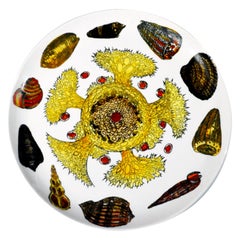 Piero Fornasetti Conchiglie Pattern Porcelain Plate, #4 in Series