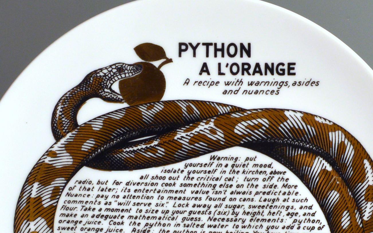 Piero Fornasetti Fleming Joffe Porcelain Plate- Python A La Orange Italiano en venta