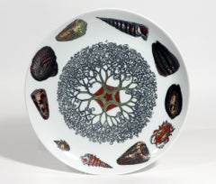 Piero Fornasetti Porcelain Conchiglie Seashell Plate with Mollusks, #9