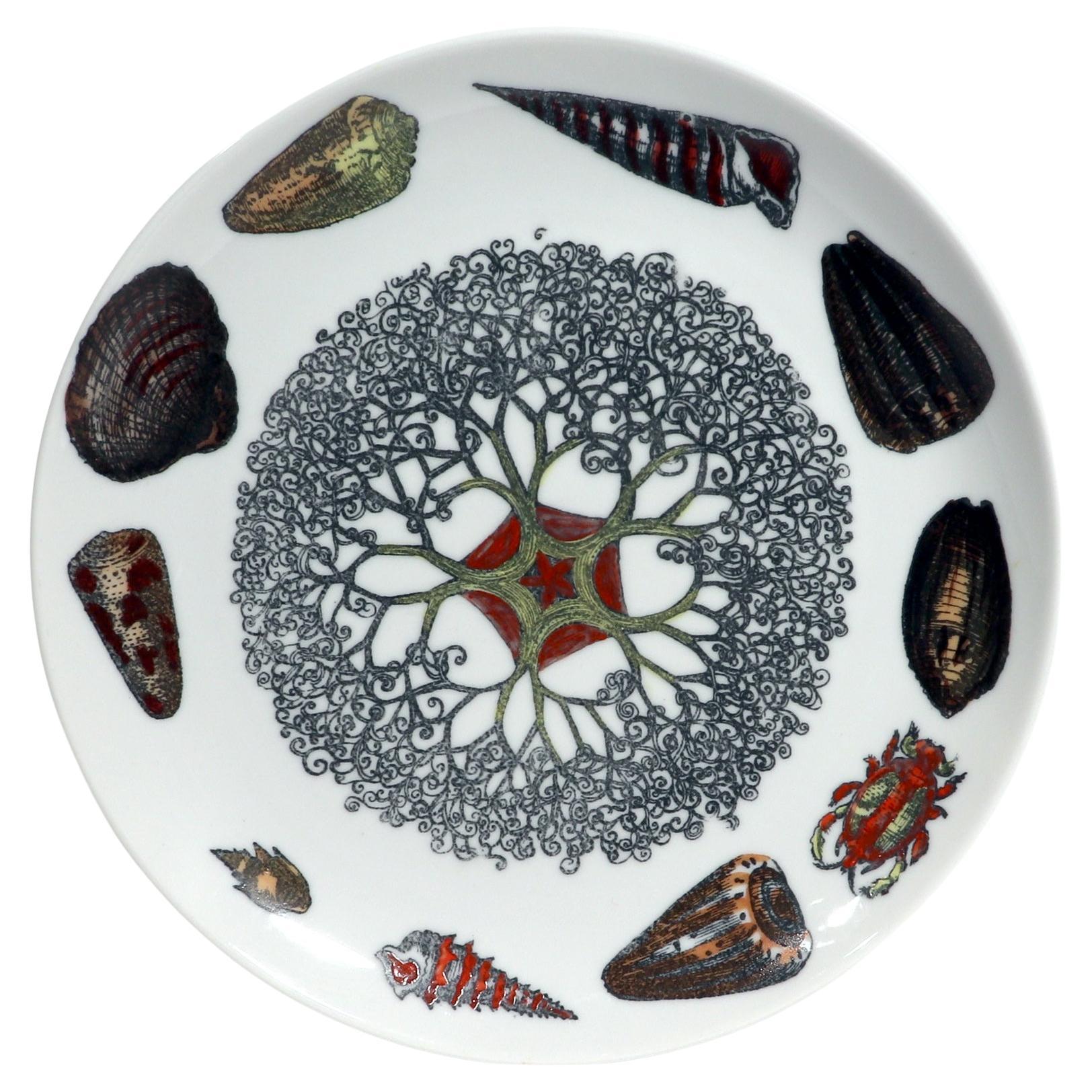 Piero Fornasetti Porcelain Conchiglie Seashell Plate with Mollusks, #9 For Sale