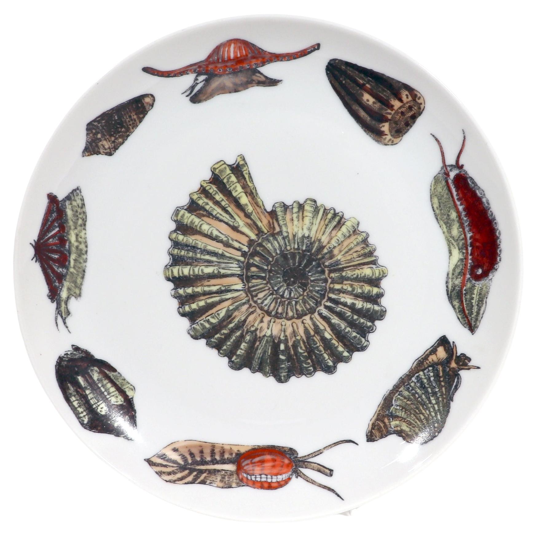 Piero Fornasetti Porcelain Conchiglie Seashell Plate With Snails and Mollusks,
#8,
Circa 1960s-70s

The Fornasetti plate is decorated in the Conchiglie pattern which depicts different sea shells and sea anemones.  The  plate is transfer printed and