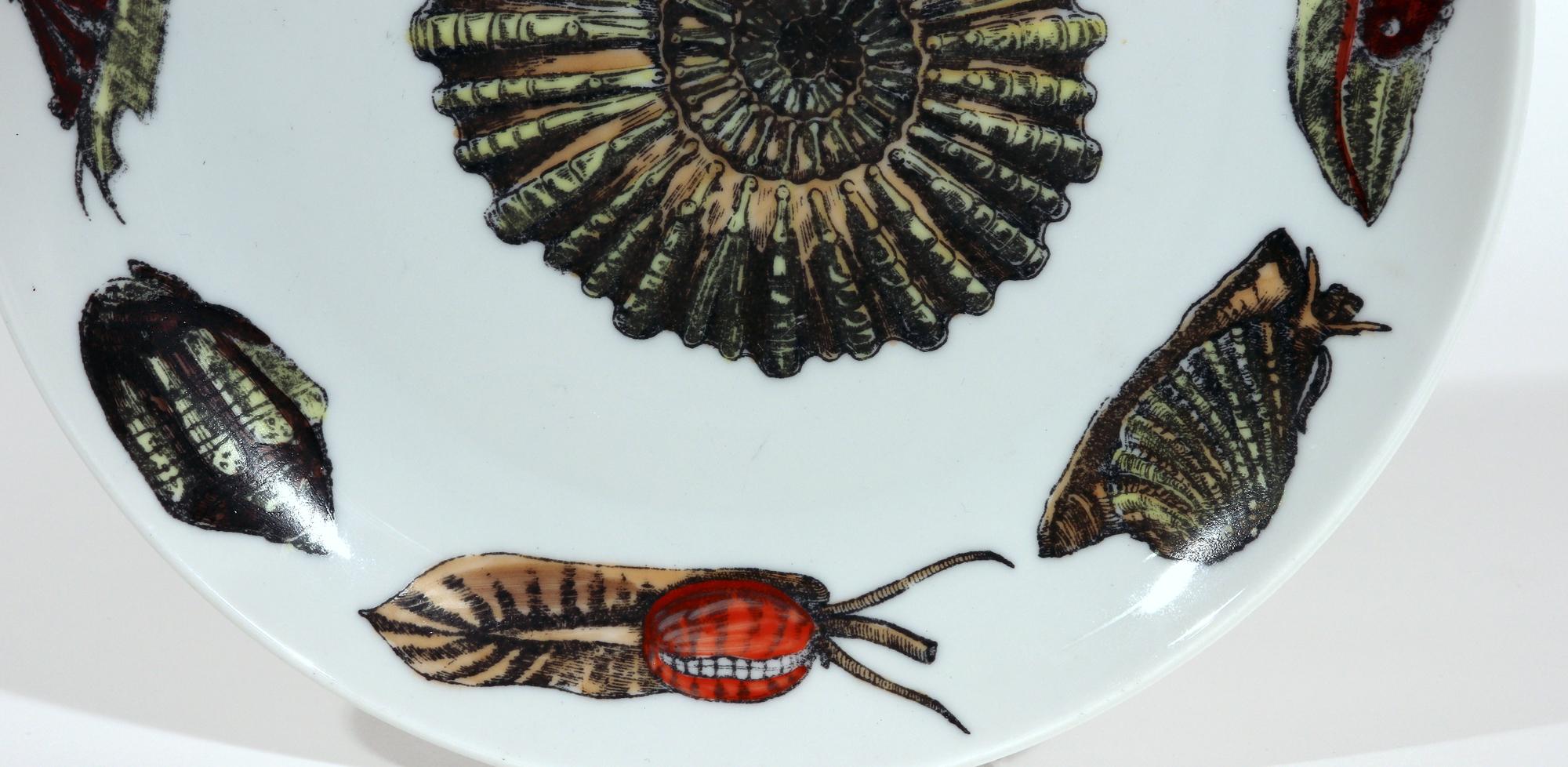 Mid-Century Modern Piero Fornasetti Porcelain Conchiglie Seashell Plate With Snails and Mollusks For Sale