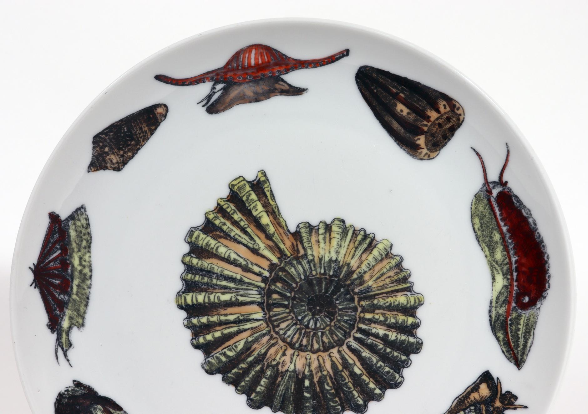 Plato de porcelana Piero Fornasetti Conchiglie con caracoles y moluscos Italiano