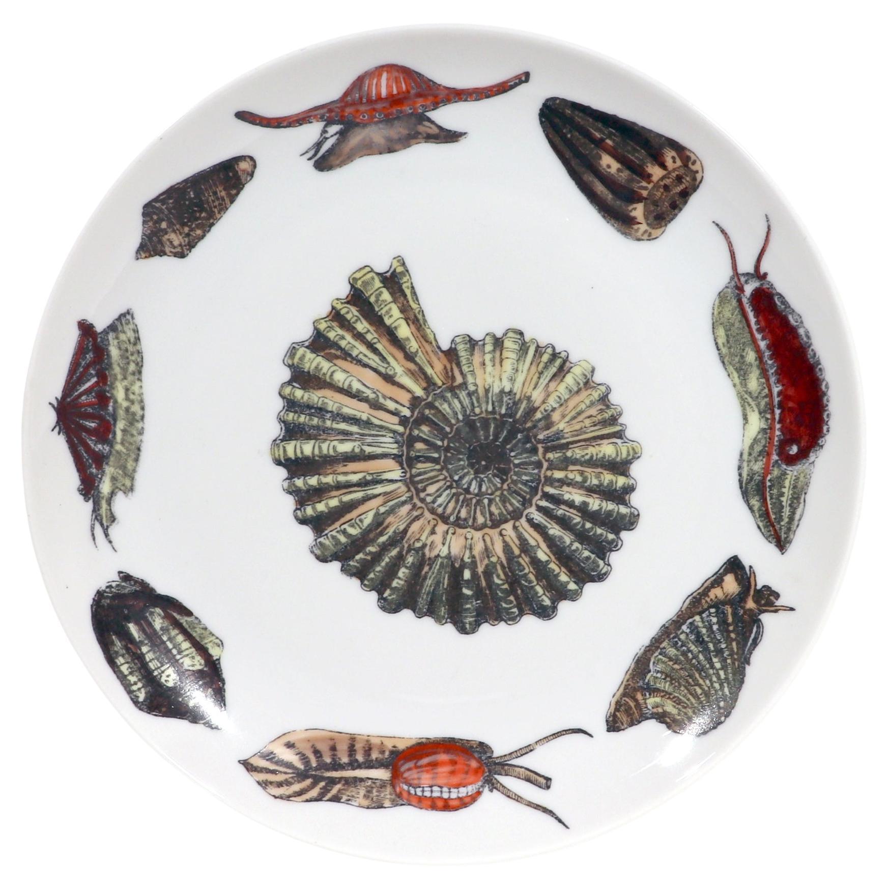 Piero Fornasetti Porcelain Conchiglie Seashell Plate With Snails and Mollusks