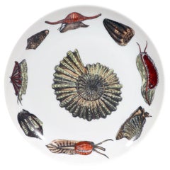Plato de porcelana Piero Fornasetti Conchiglie con caracoles y moluscos