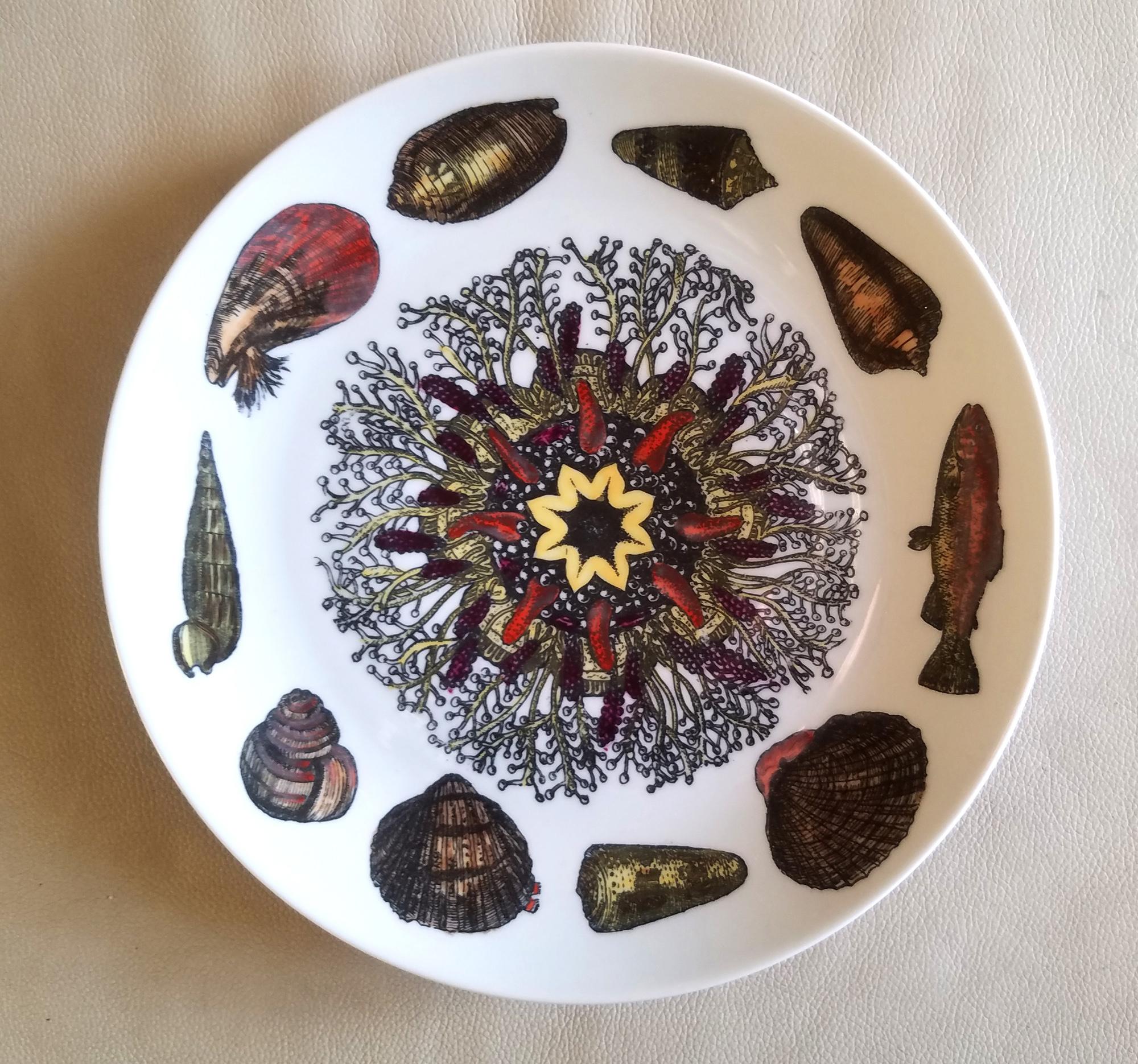 Piero Fornasetti Porcelain Conchiglie Seashell Set of Plates with Mollusks For Sale 4