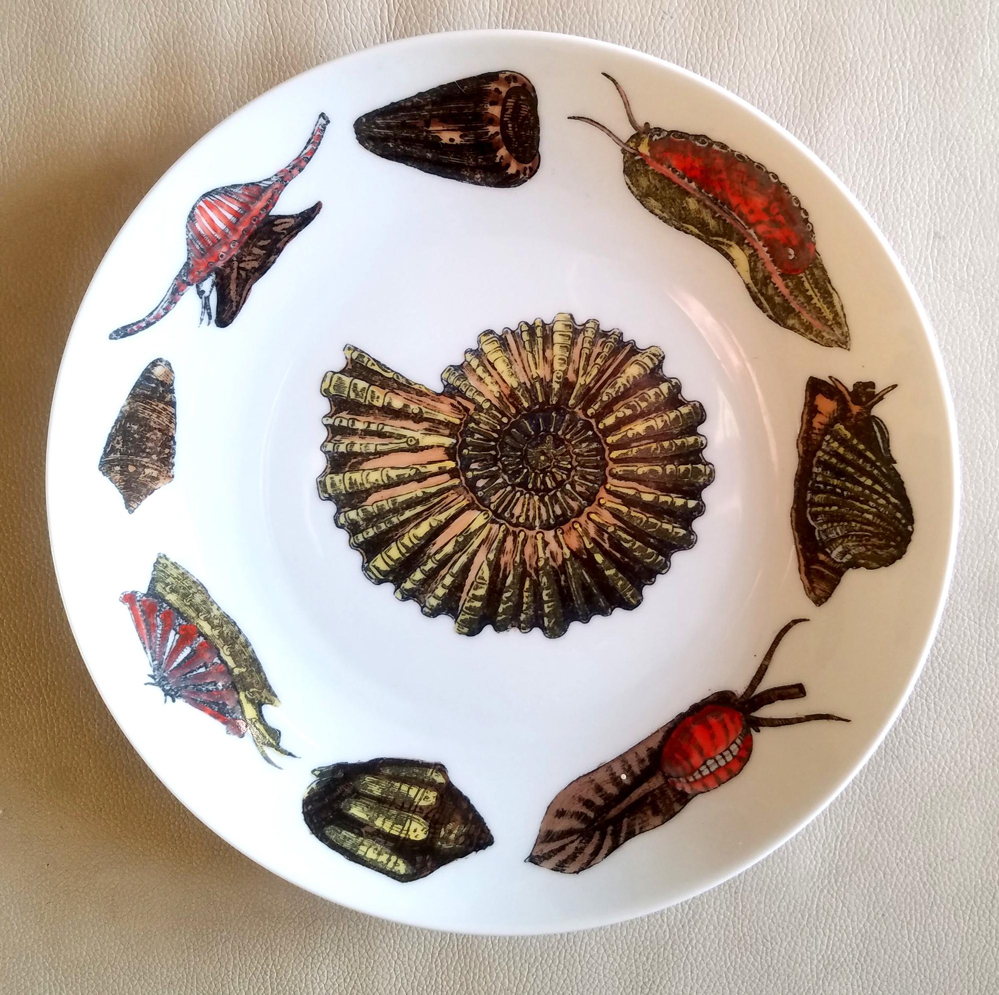 Piero Fornasetti Porcelain Conchiglie Seashell Set of Plates with Mollusks For Sale 5