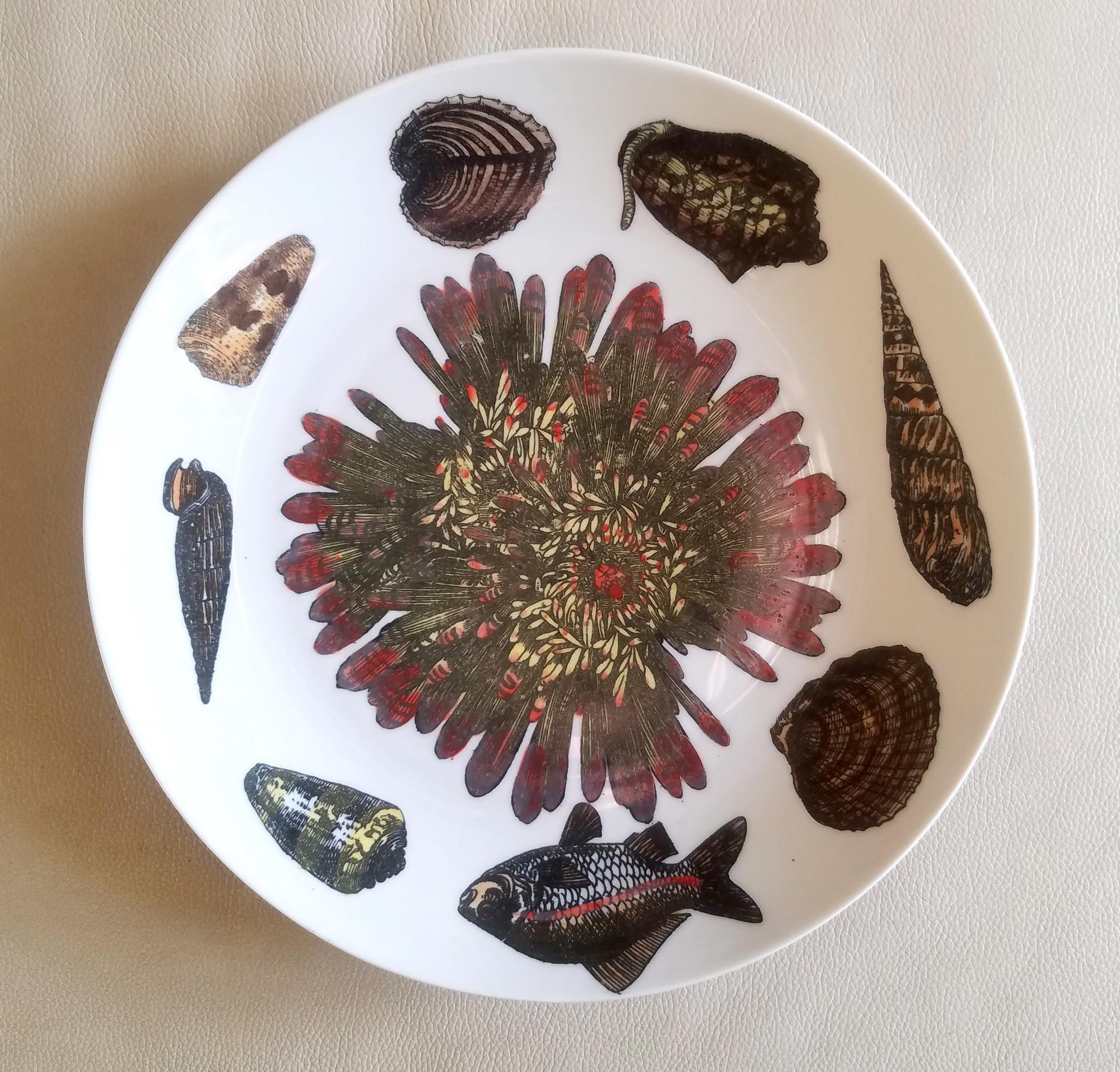 Piero Fornasetti Porcelain Conchiglie Seashell Set of Plates with Mollusks For Sale 7