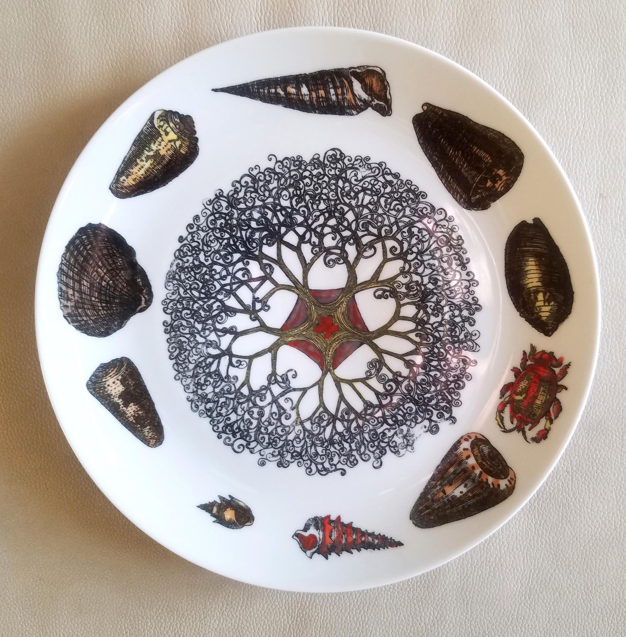 Piero Fornasetti Porcelain Conchiglie Seashell Set of Plates with Mollusks For Sale 9