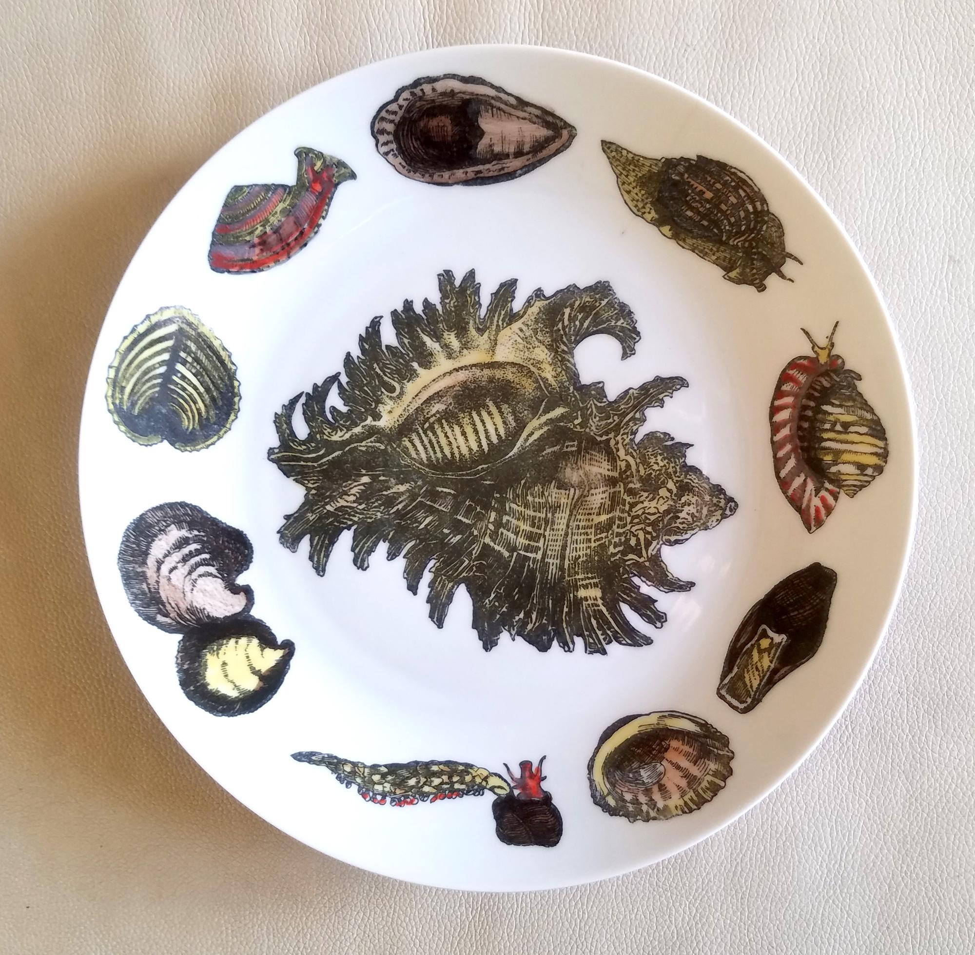 Piero Fornasetti Porcelain Conchiglie Seashell Set of Plates with Mollusks For Sale 12