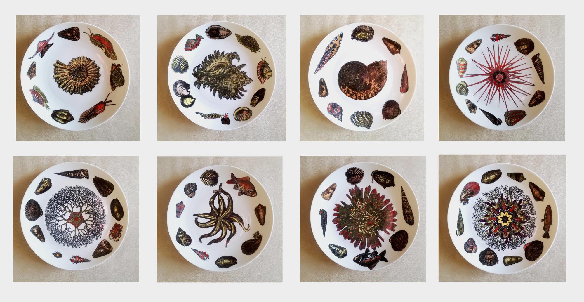 Piero Fornasetti porcelain Conchiglie seashell plates with snails and mollusks,
Set of Six,
circa 1960s-1970s

The Fornasetti plate is decorated in the Conchiglie pattern which depicts different sea shells and sea anemones. The plate is transfer