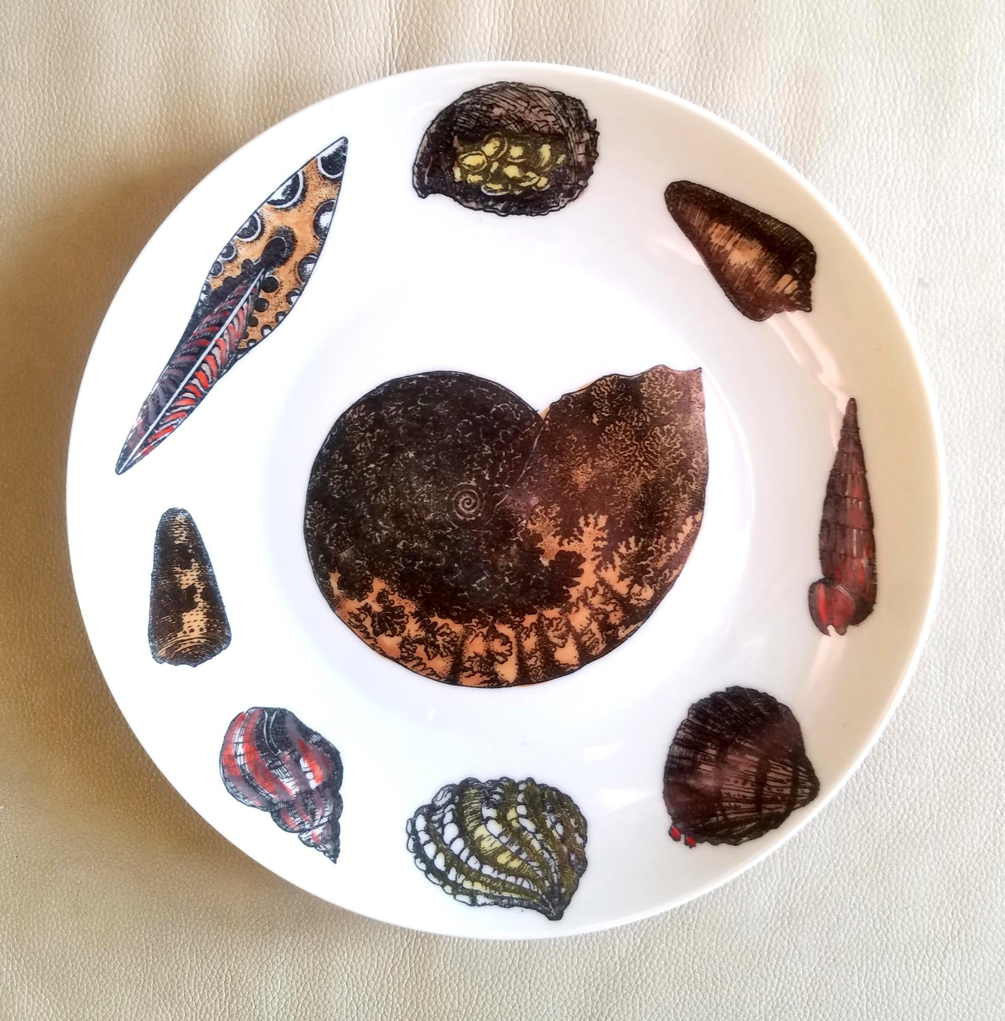 Piero Fornasetti Porcelain Conchiglie Seashell Set of Plates with Mollusks For Sale 1