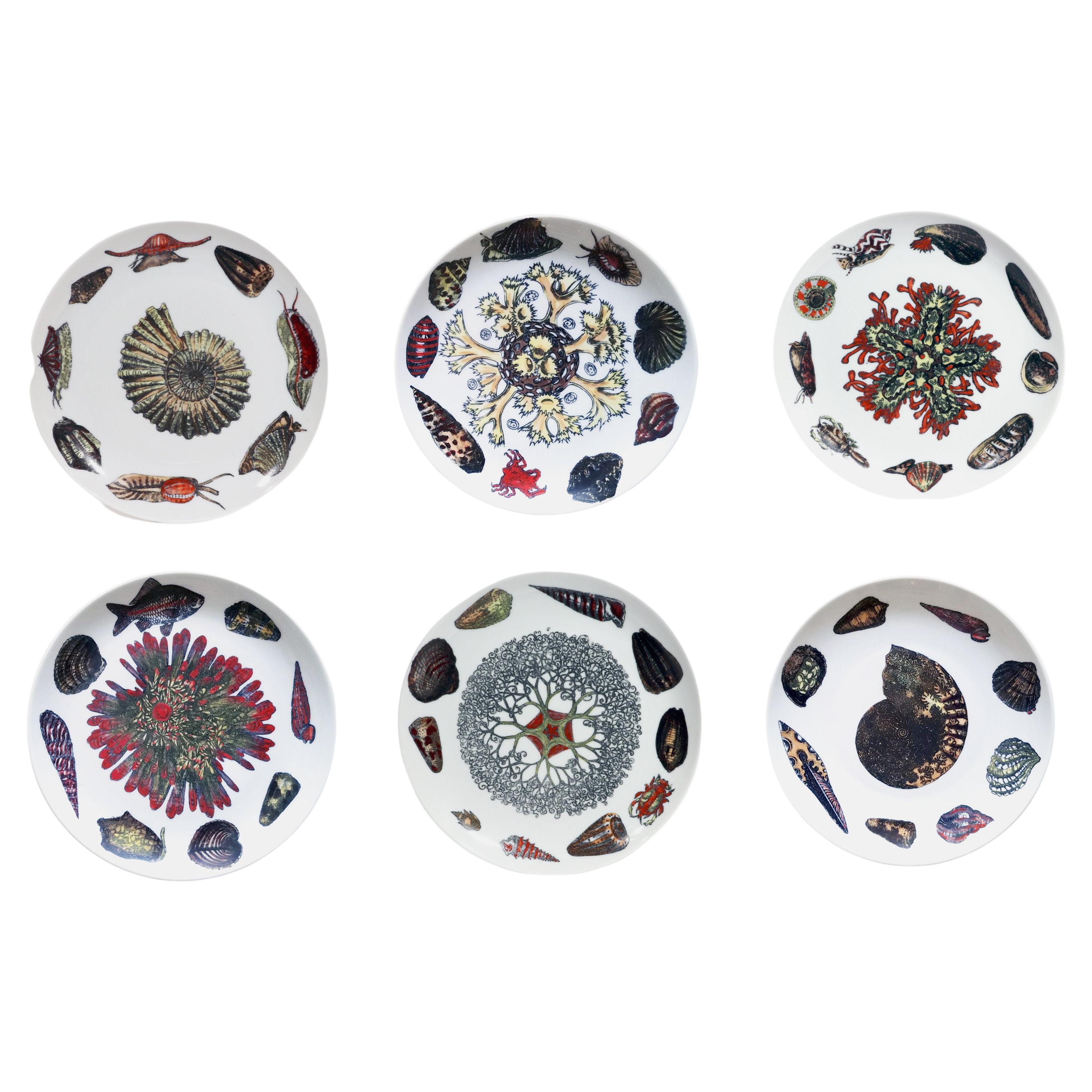 Piero Fornasetti Porcelain Conchiglie Seashell Set of Plates with Mollusks