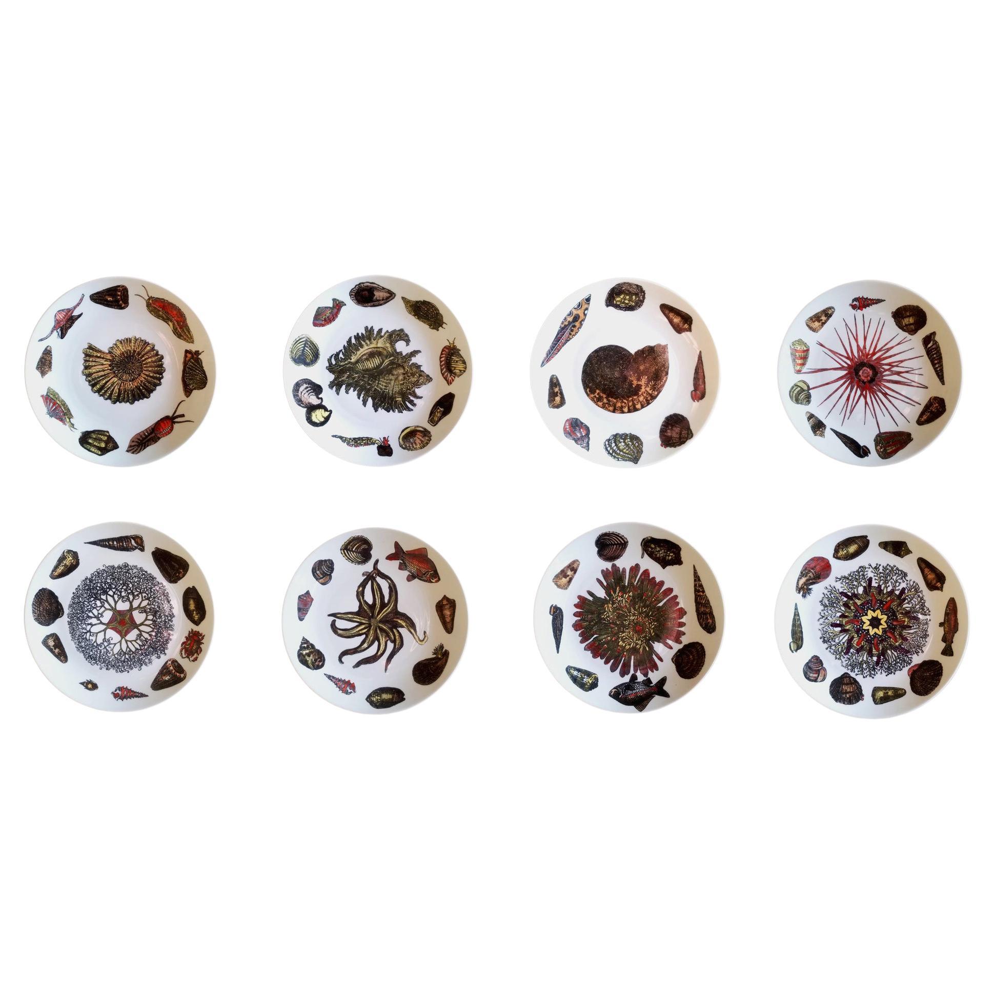 Ensemble d'assiettes en porcelaine conchiglie avec mollusques de Piero Fornasetti