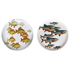 Piero Fornasetti Porcelain Fish Plates, Pesci pattern or Passage of Fish