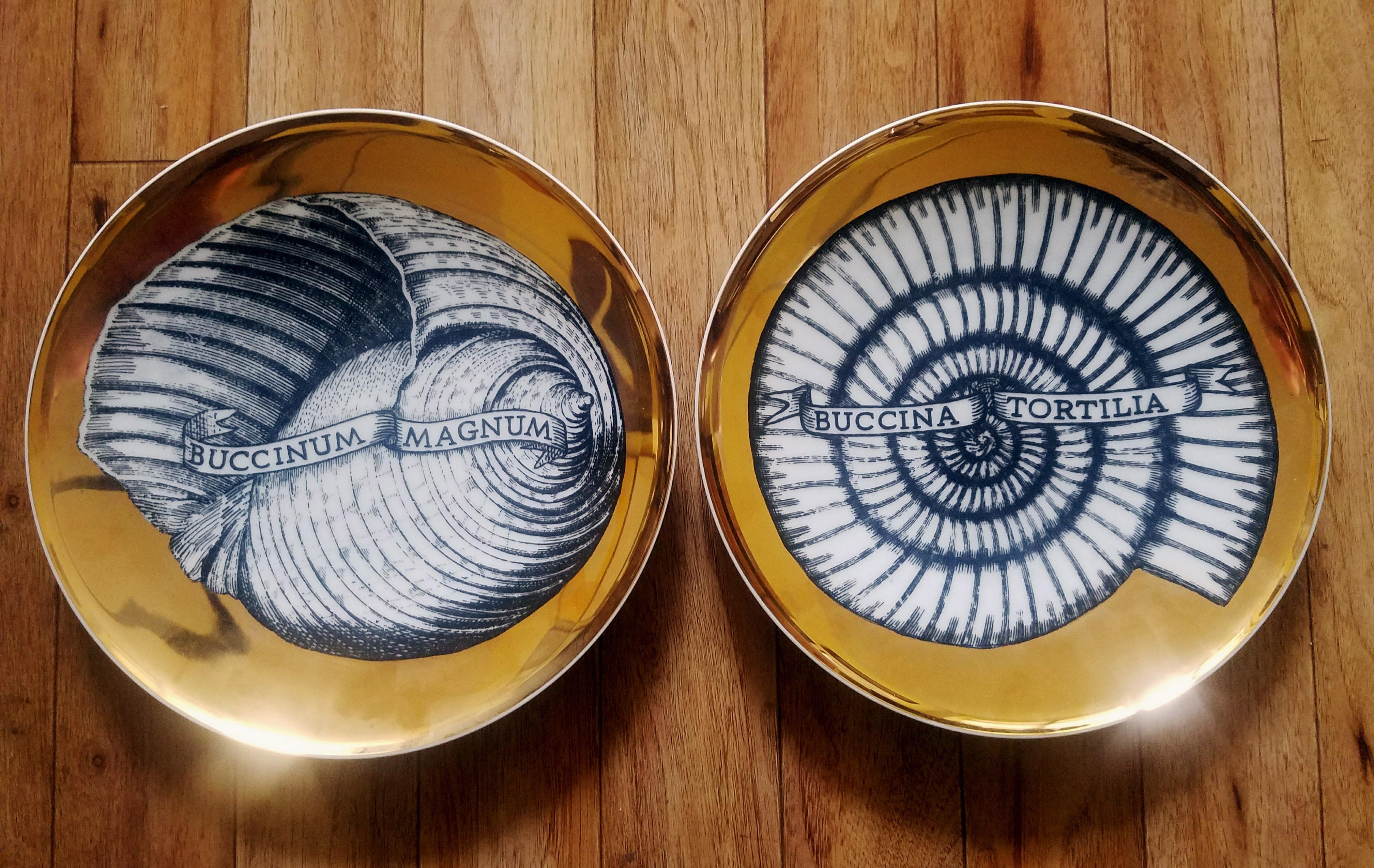 Mid-Century Modern Piero Fornasetti Porcelain Seashell Plates, Conchyliorum Pattern For Sale