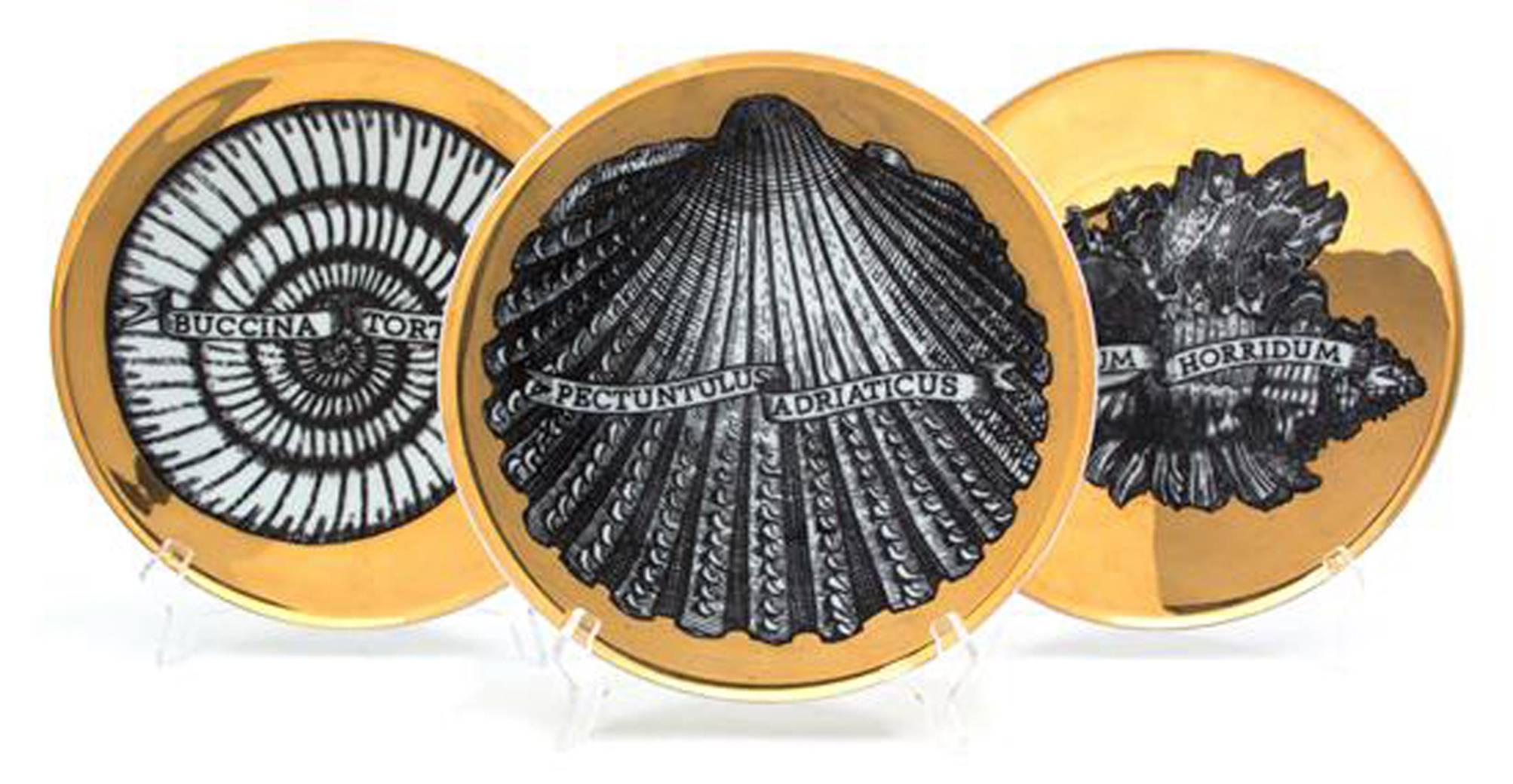 Piero Fornasetti porcelain gilt seashell porcelain plates,
Conchyliorum pattern,
Set of six plates,
circa 1950s.

The set of plates with a gilt ground and each beautifully decorated with a different large named seashell in black and