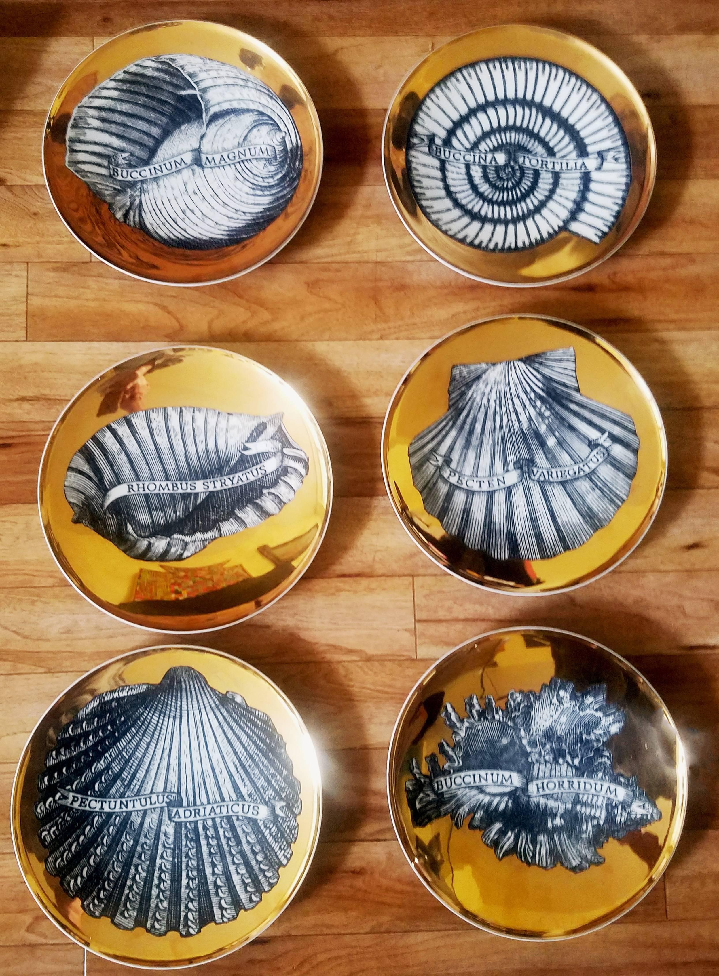 Italian Piero Fornasetti Porcelain Gilt Seashell Plates, Conchyliorum Pattern, 1950s